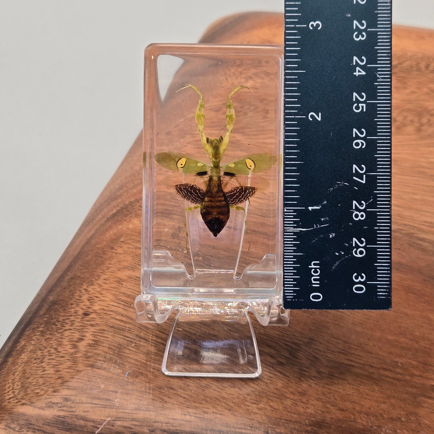 Resin Jeweled Flower Mantis
