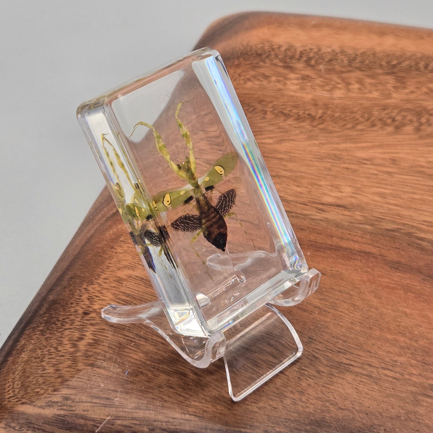 Resin Jeweled Flower Mantis