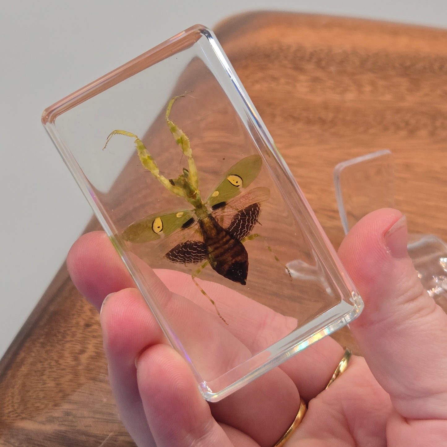 Resin Jeweled Flower Mantis