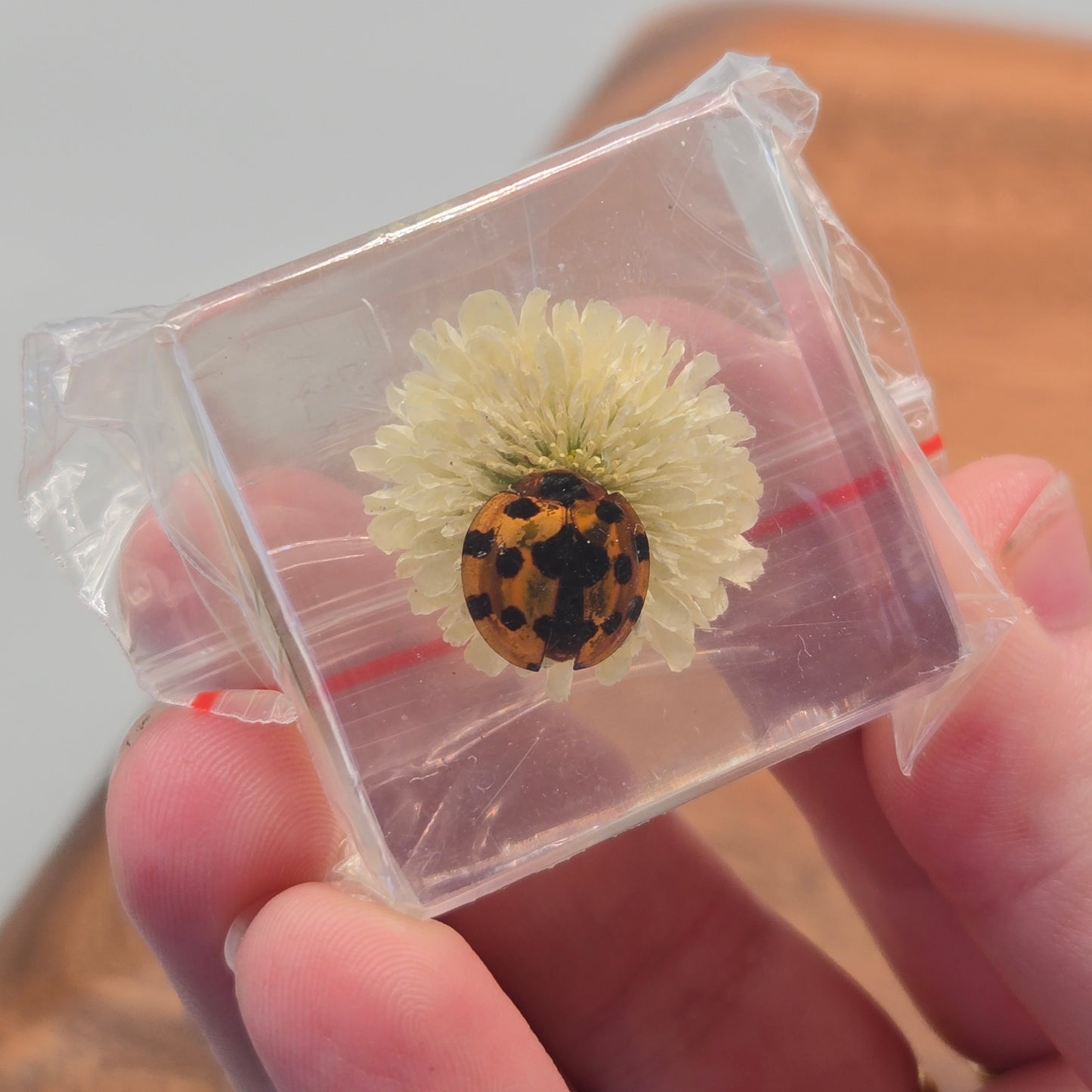 Resin Ladybug with Flower