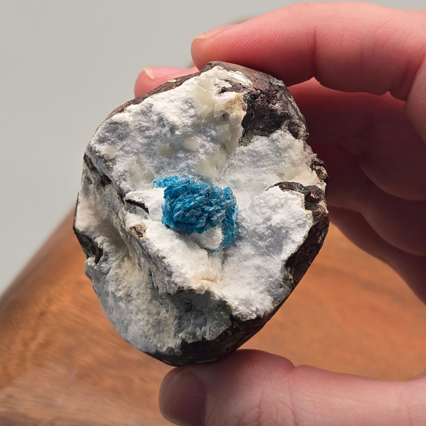 Cavansite on Mordenite 086