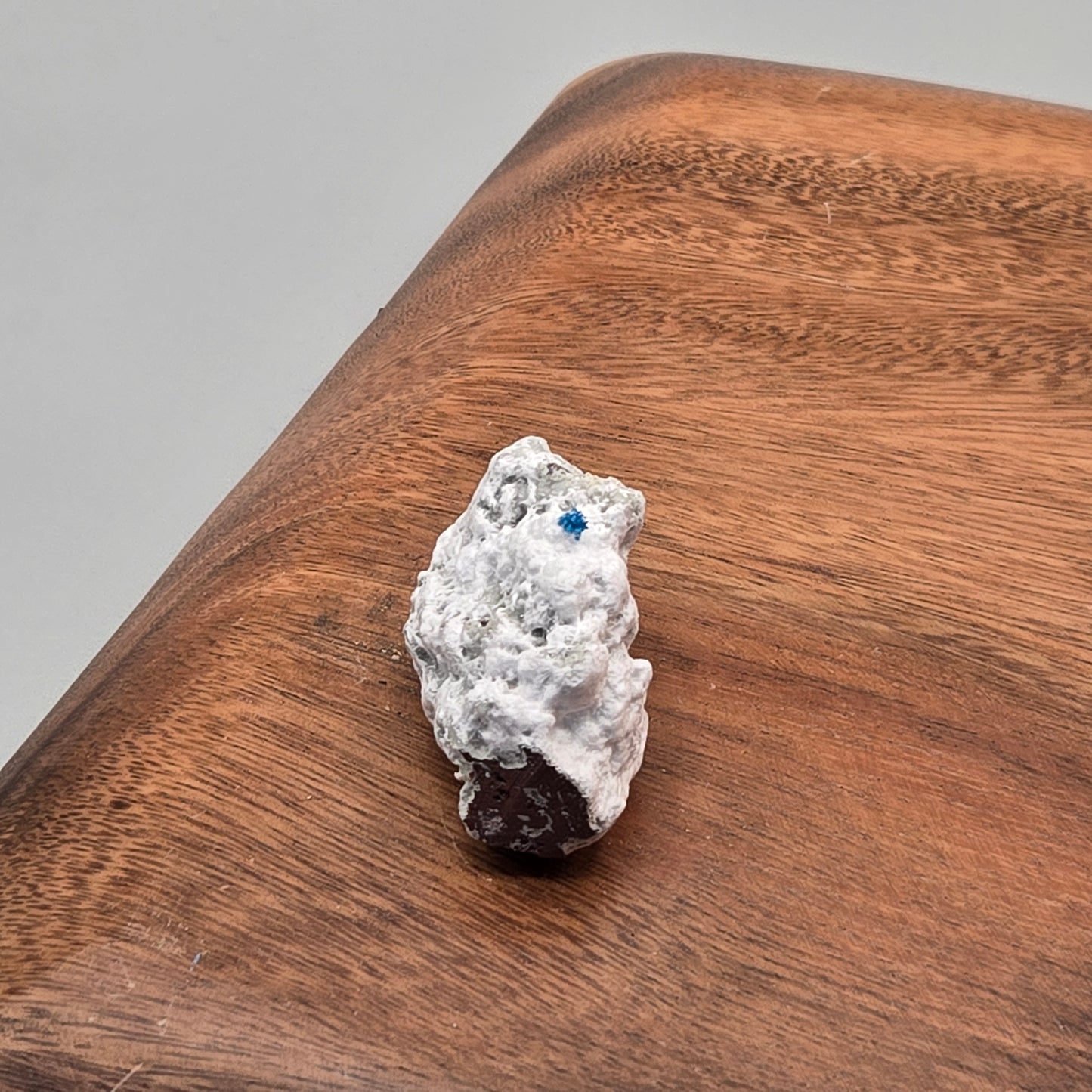 Cavansite on Mordenite 088