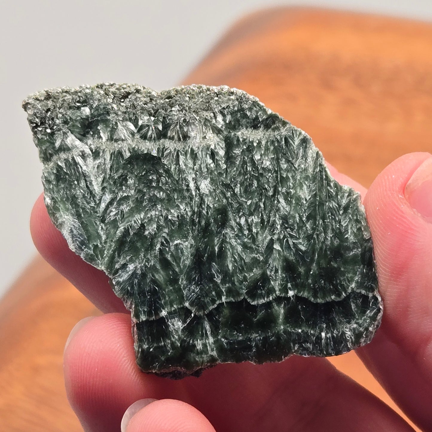 Seraphinite Slab 101