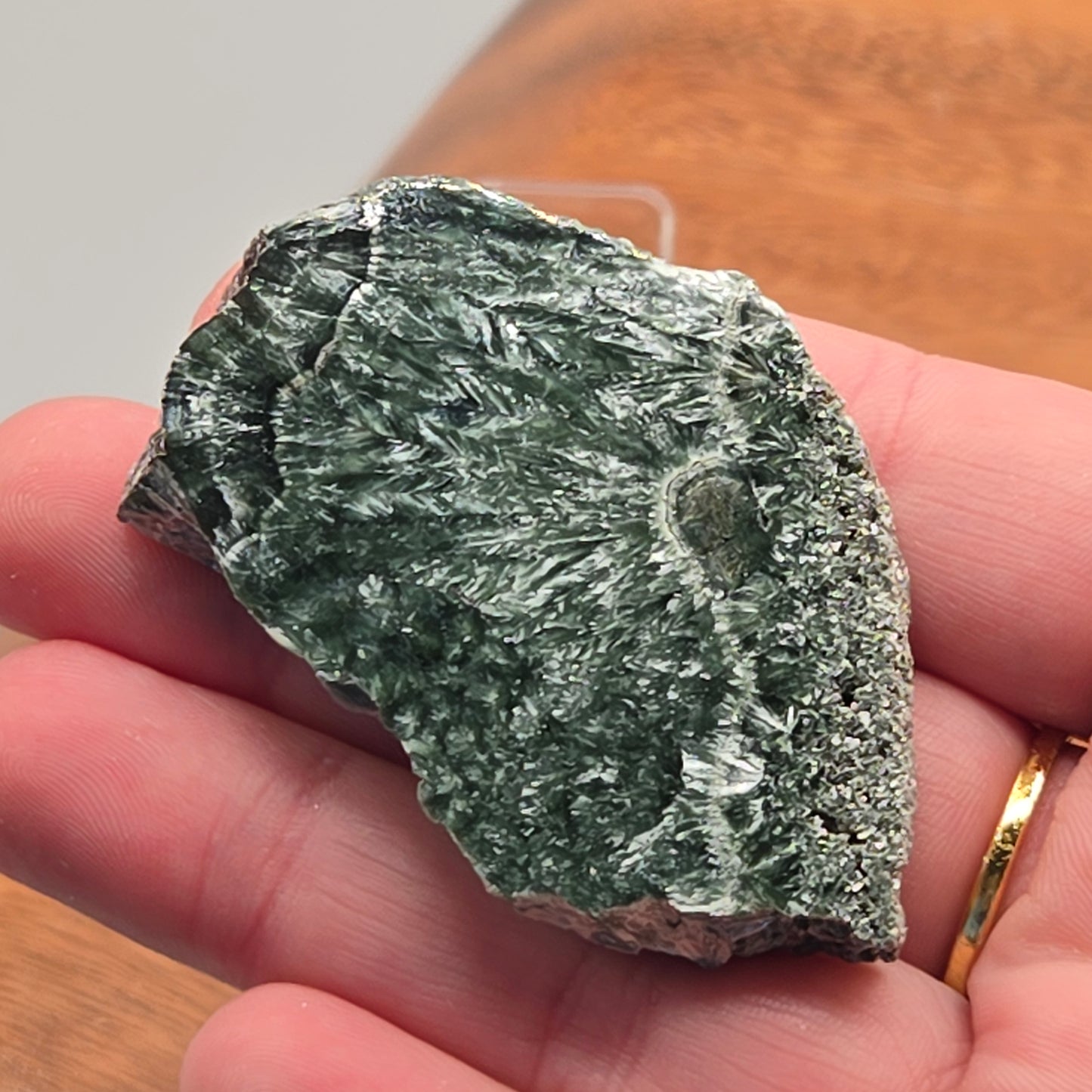 Seraphinite Slab 103
