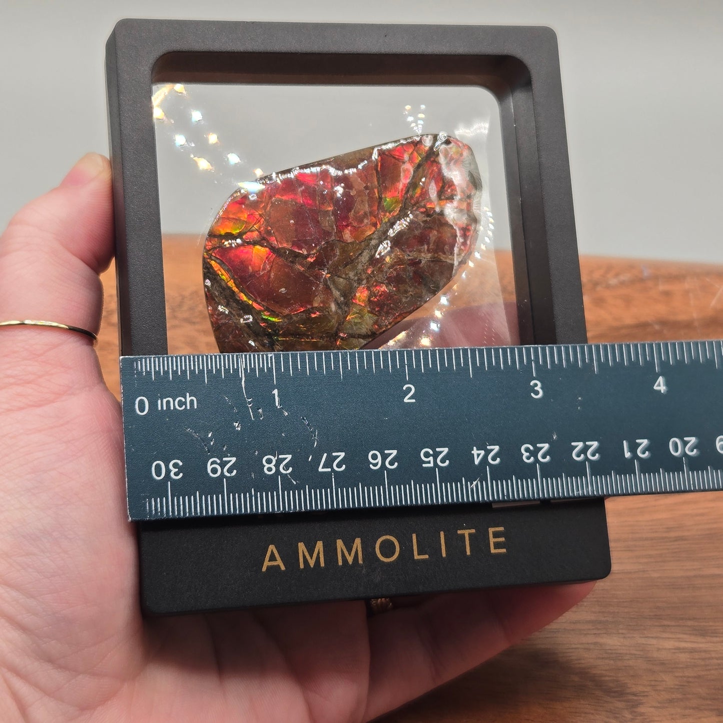 Ammolite 118