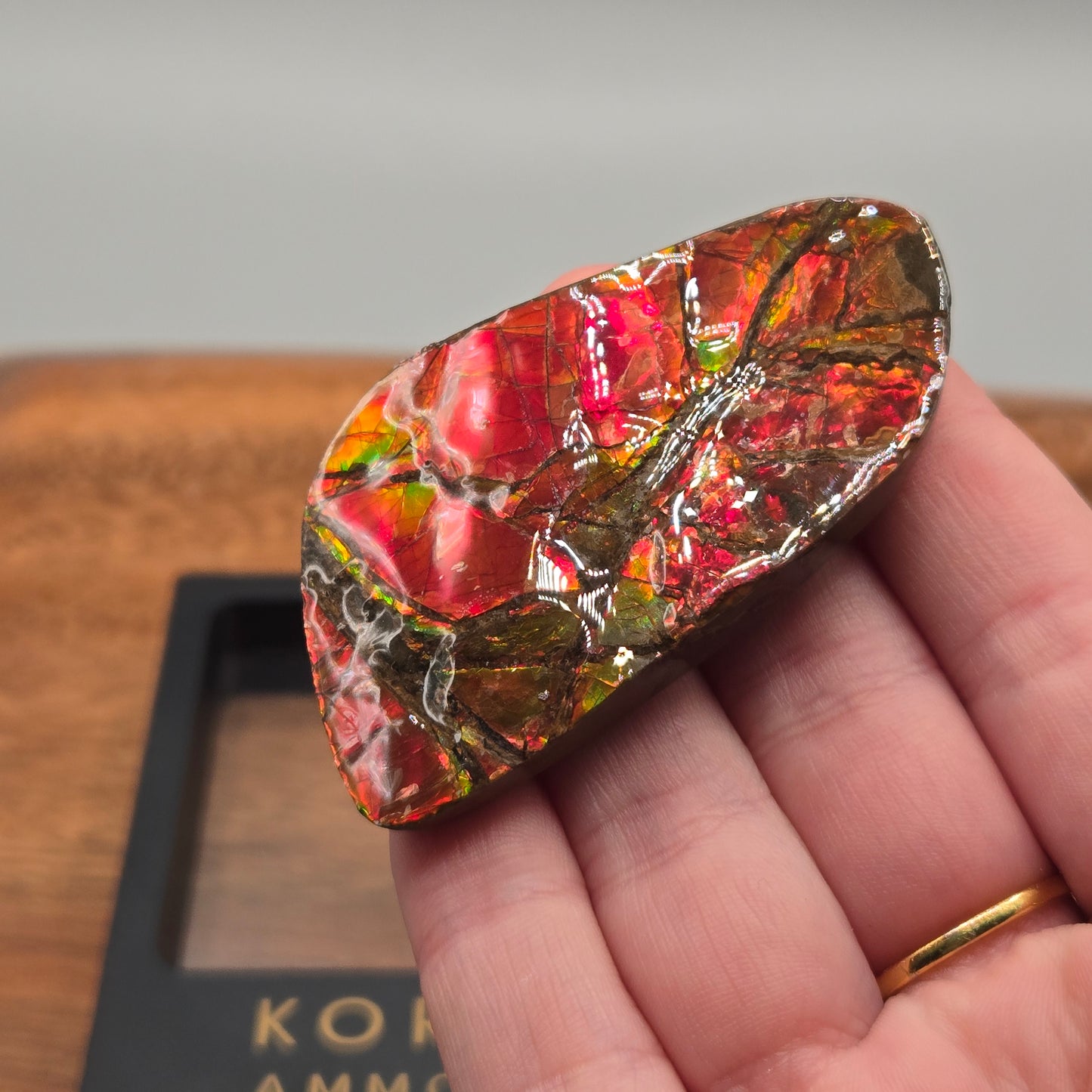 Ammolite 118