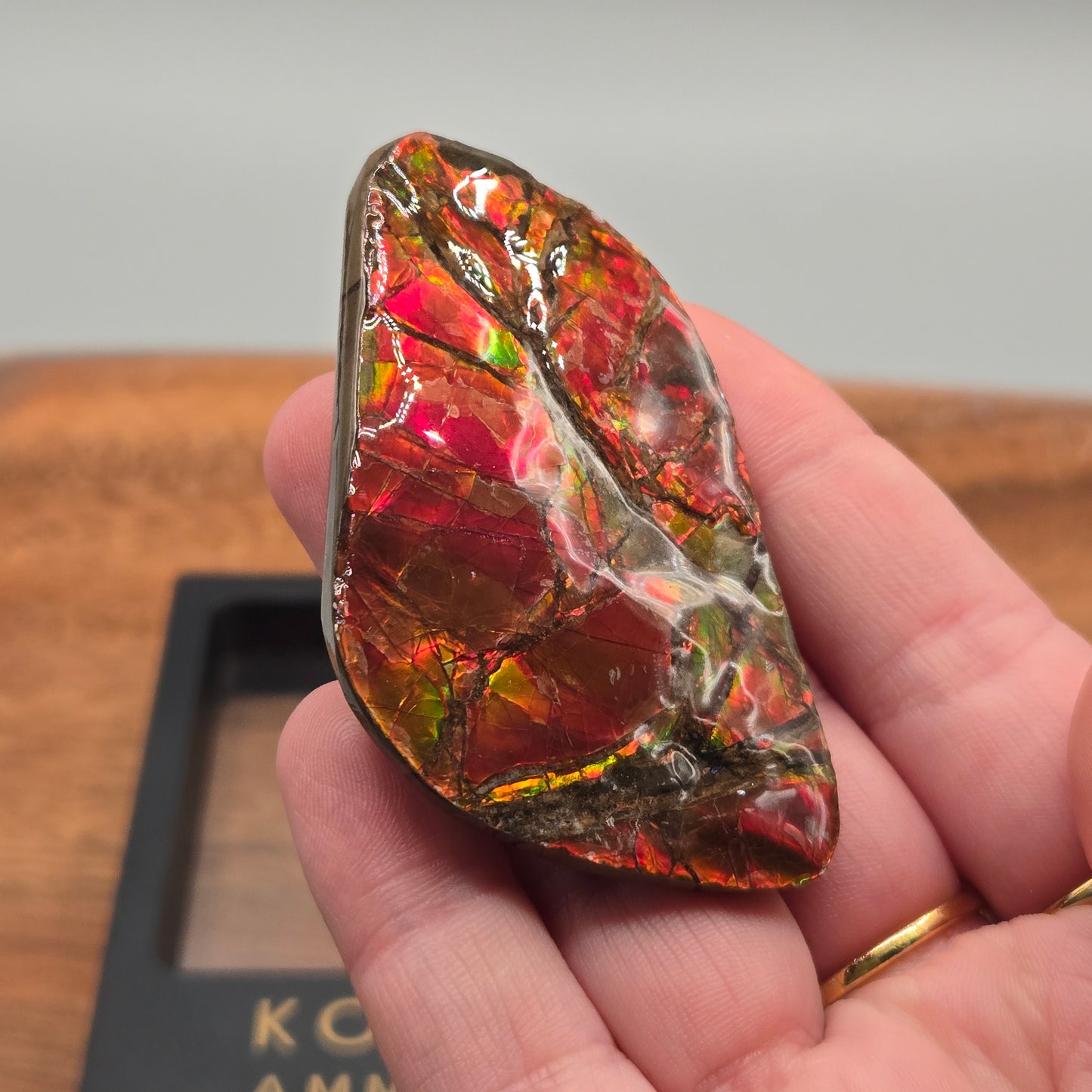 Ammolite 118