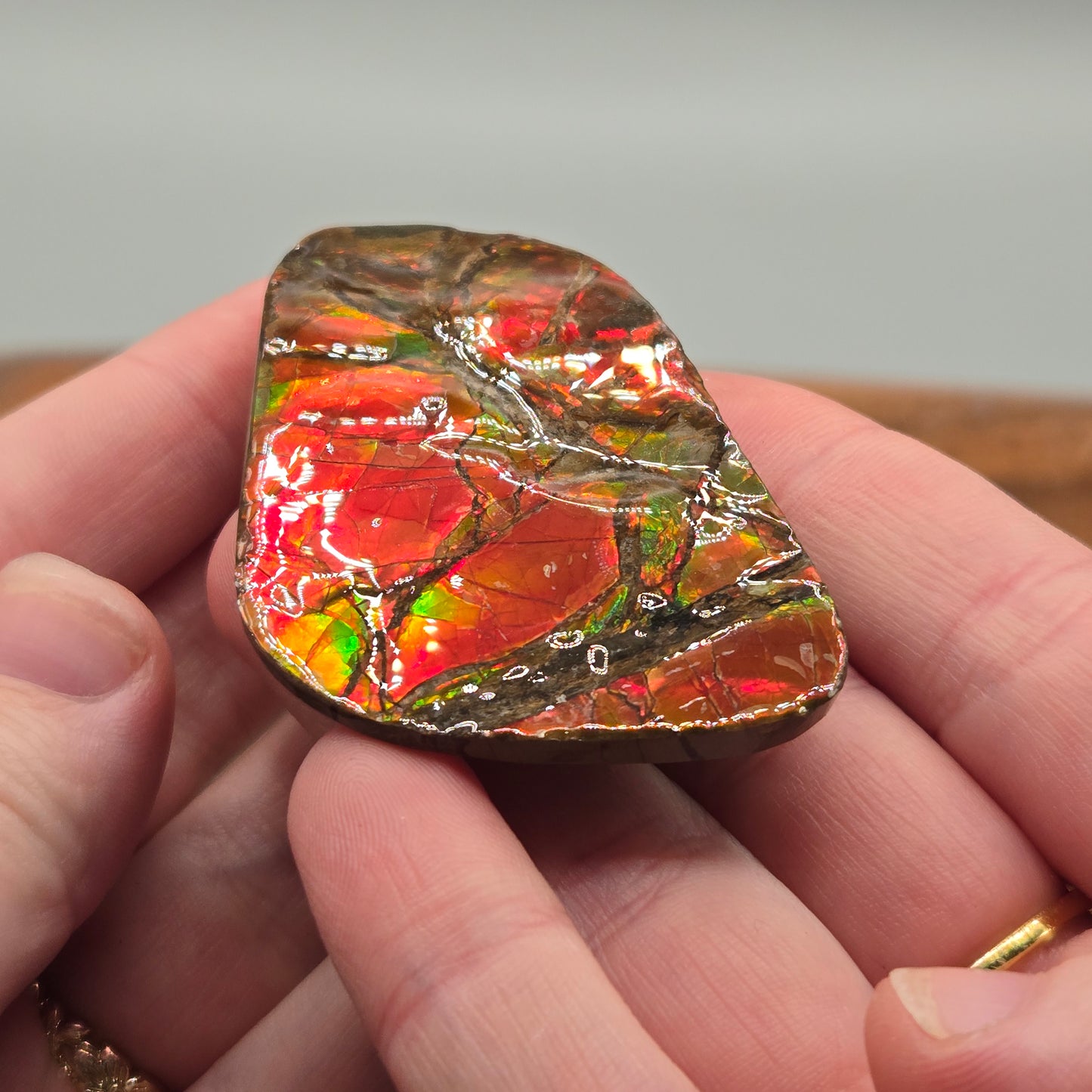 Ammolite 118