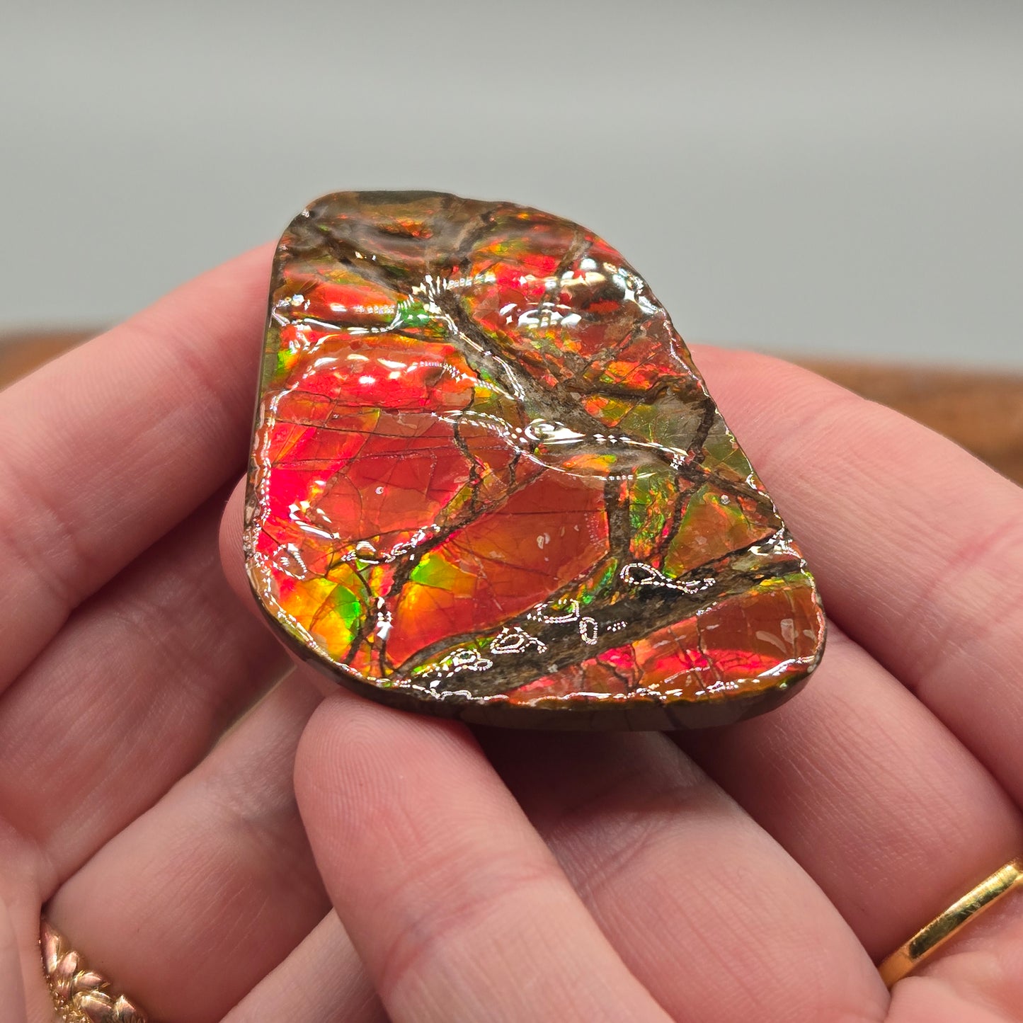 Ammolite 118