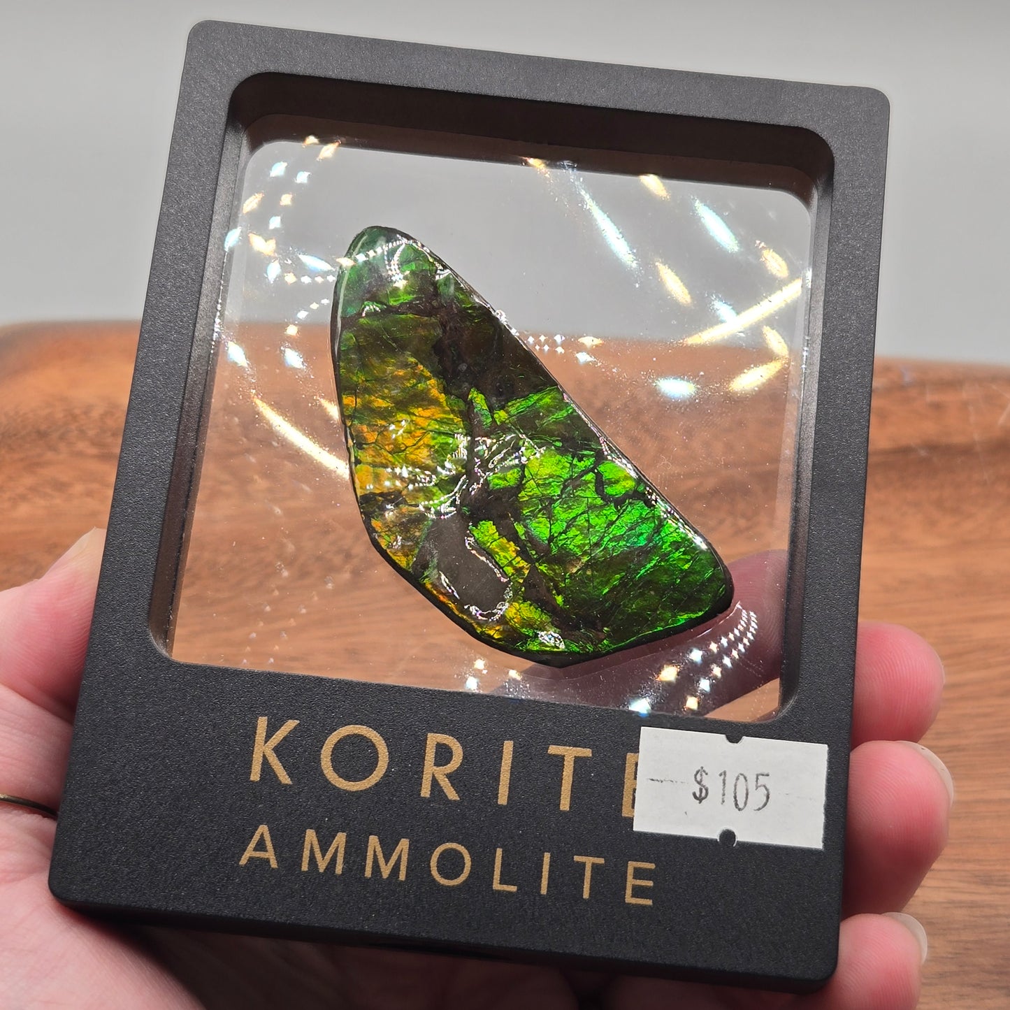 Ammolite 120