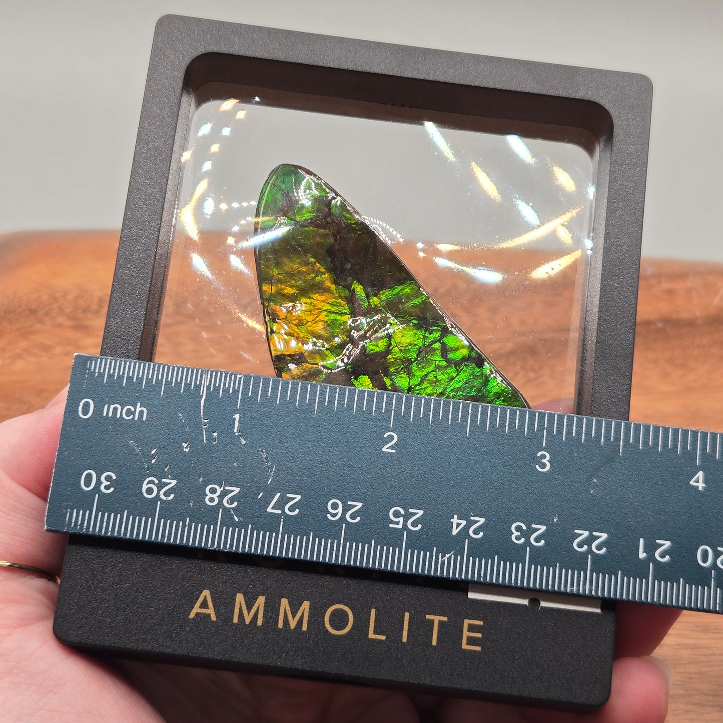Ammolite 120