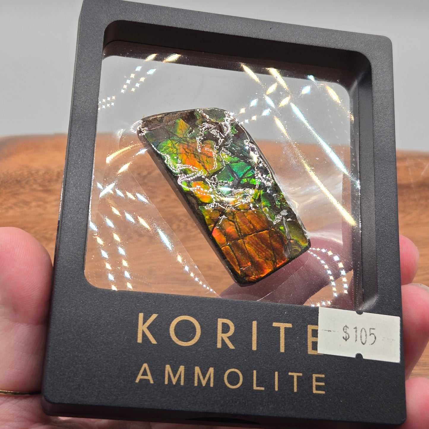 Ammolite 121
