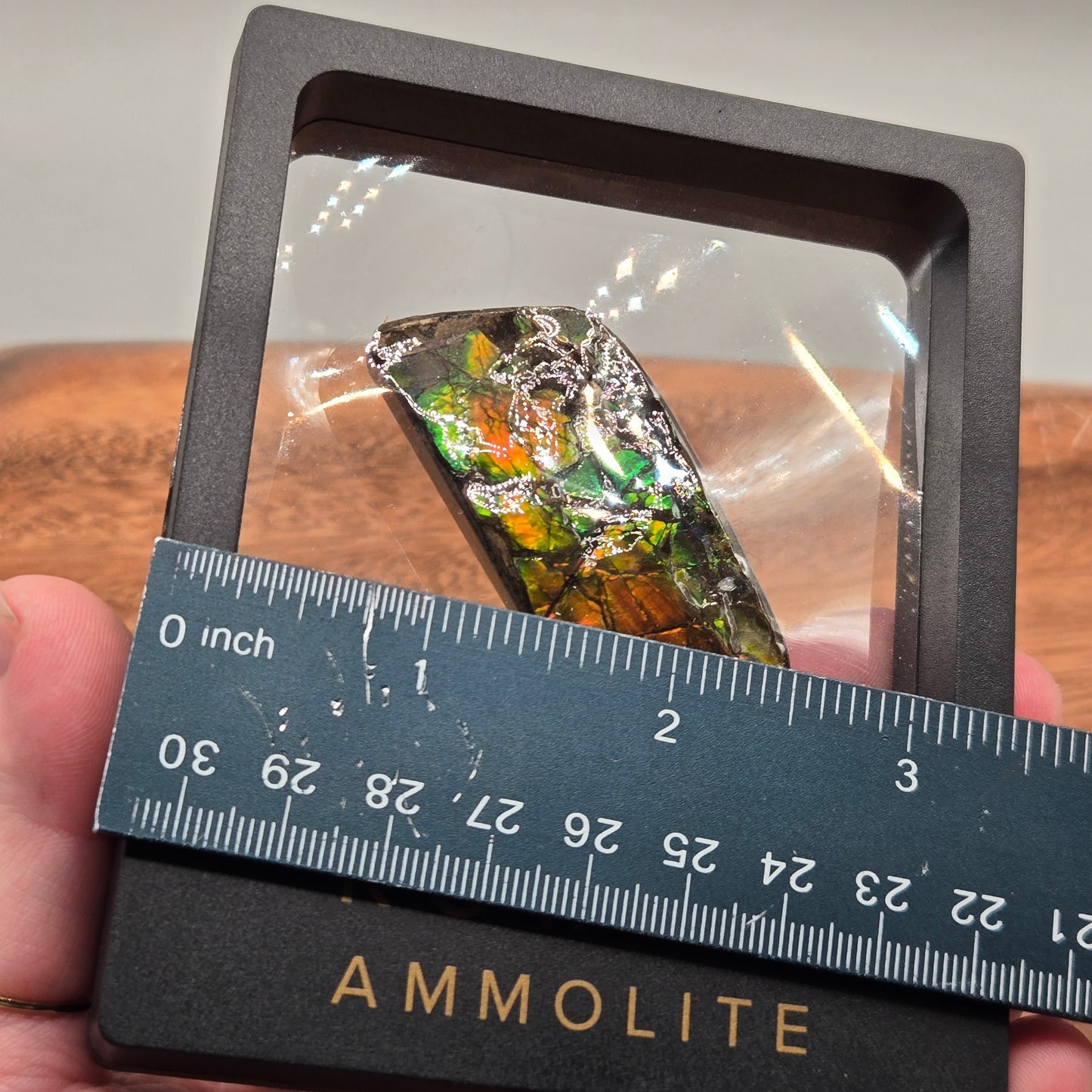 Ammolite 121