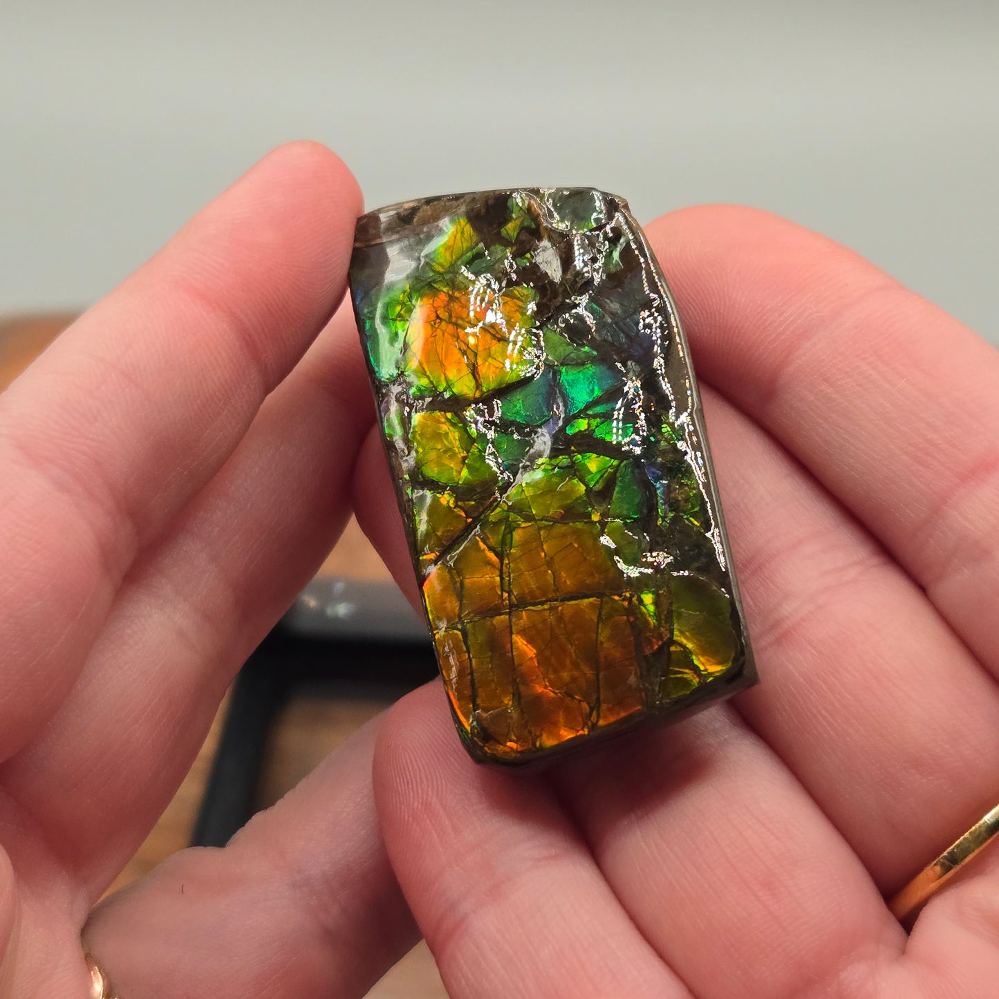 Ammolite 121