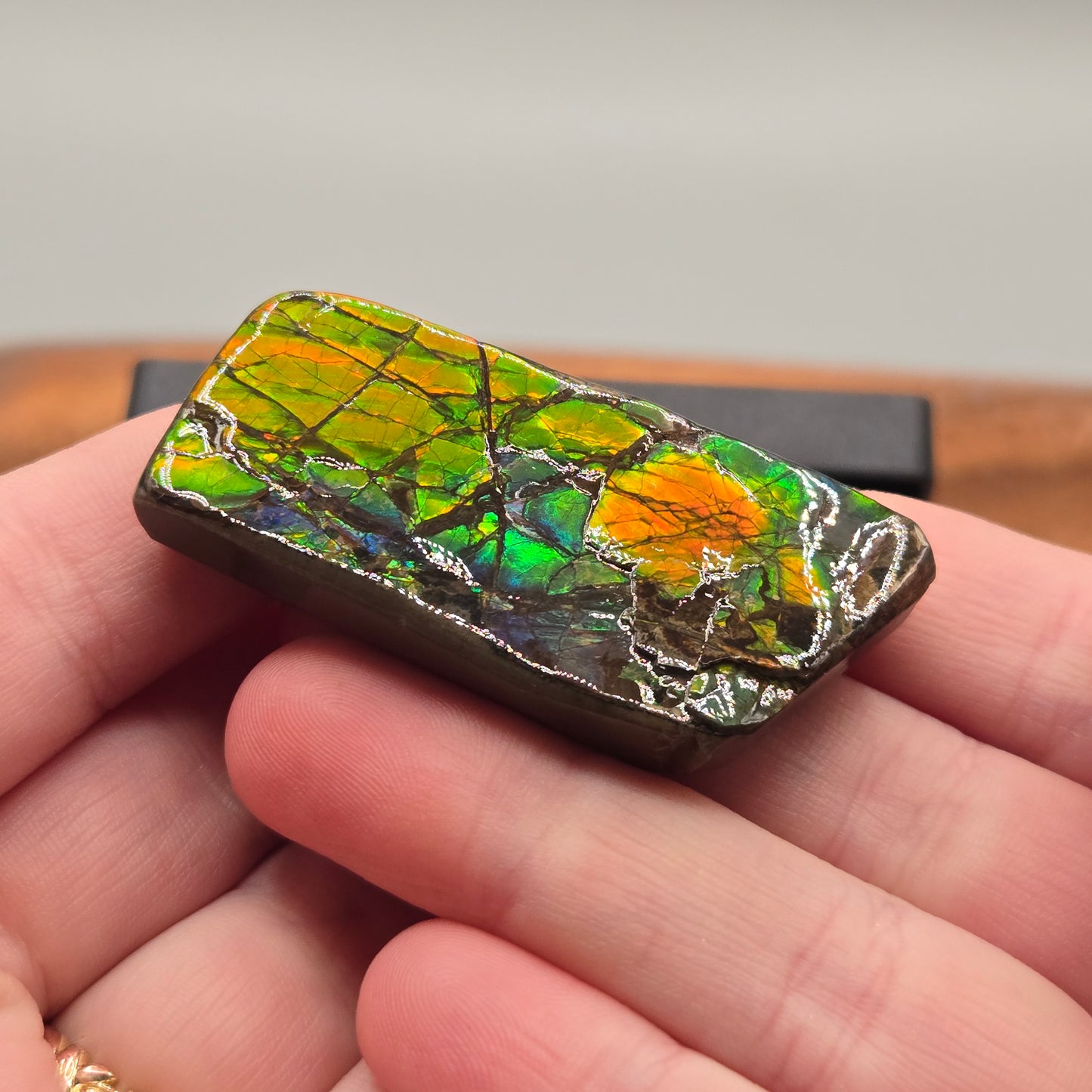 Ammolite 121