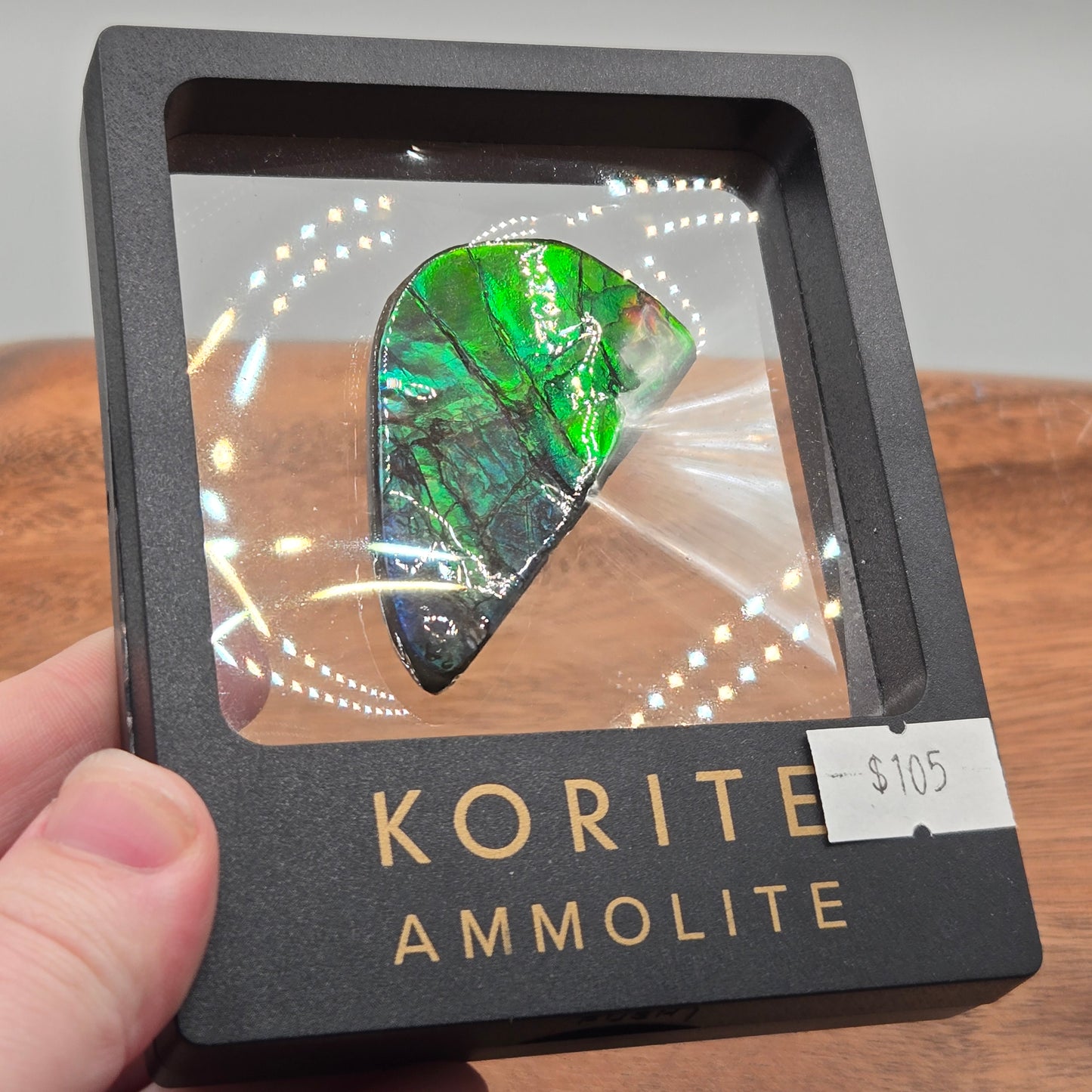 Ammolite 122