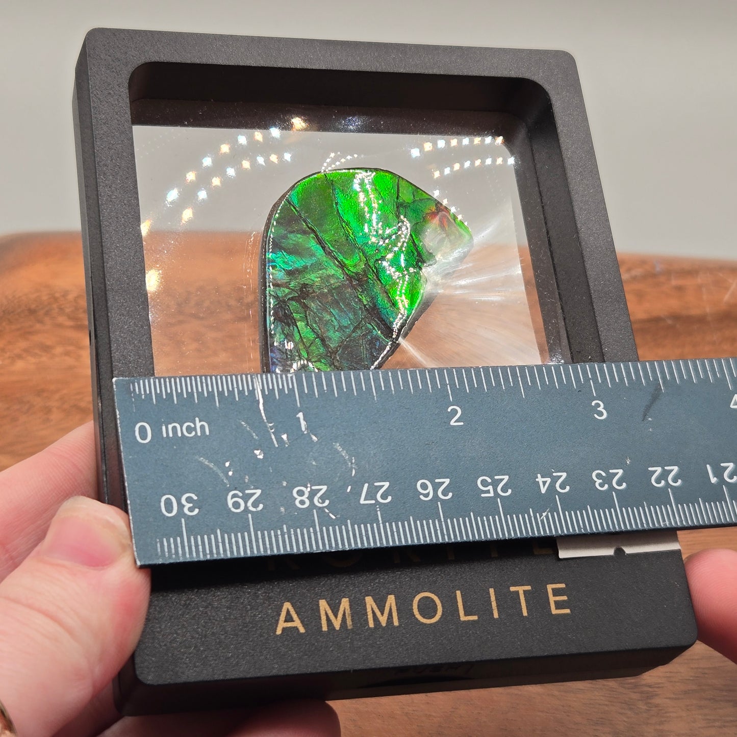 Ammolite 122