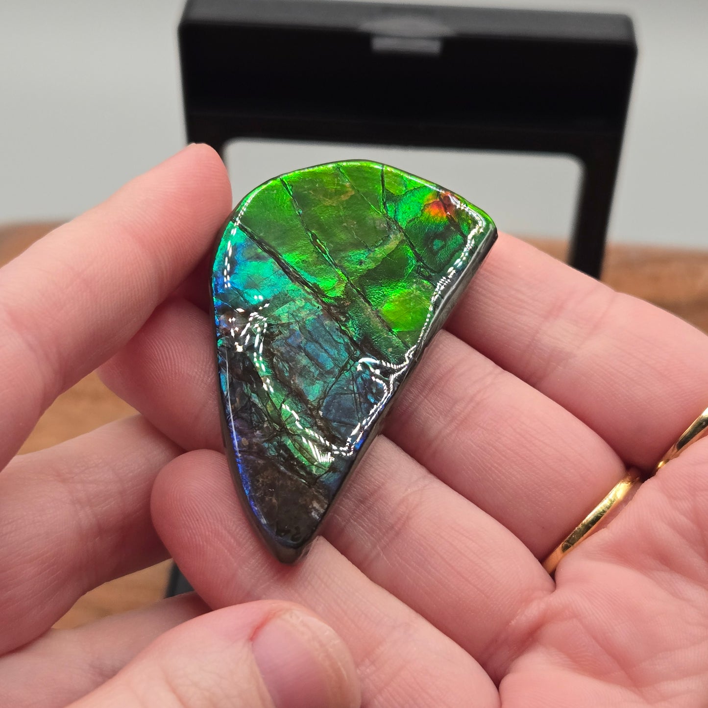 Ammolite 122