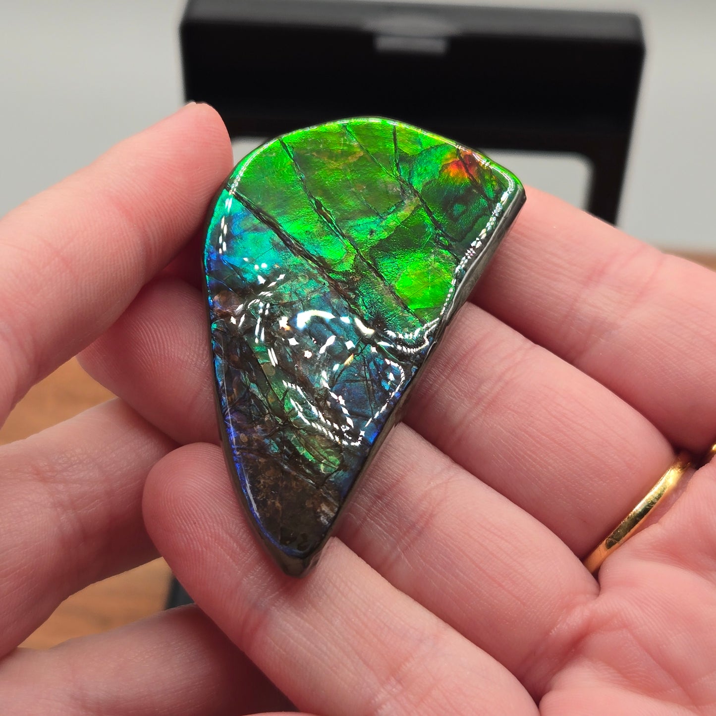 Ammolite 122