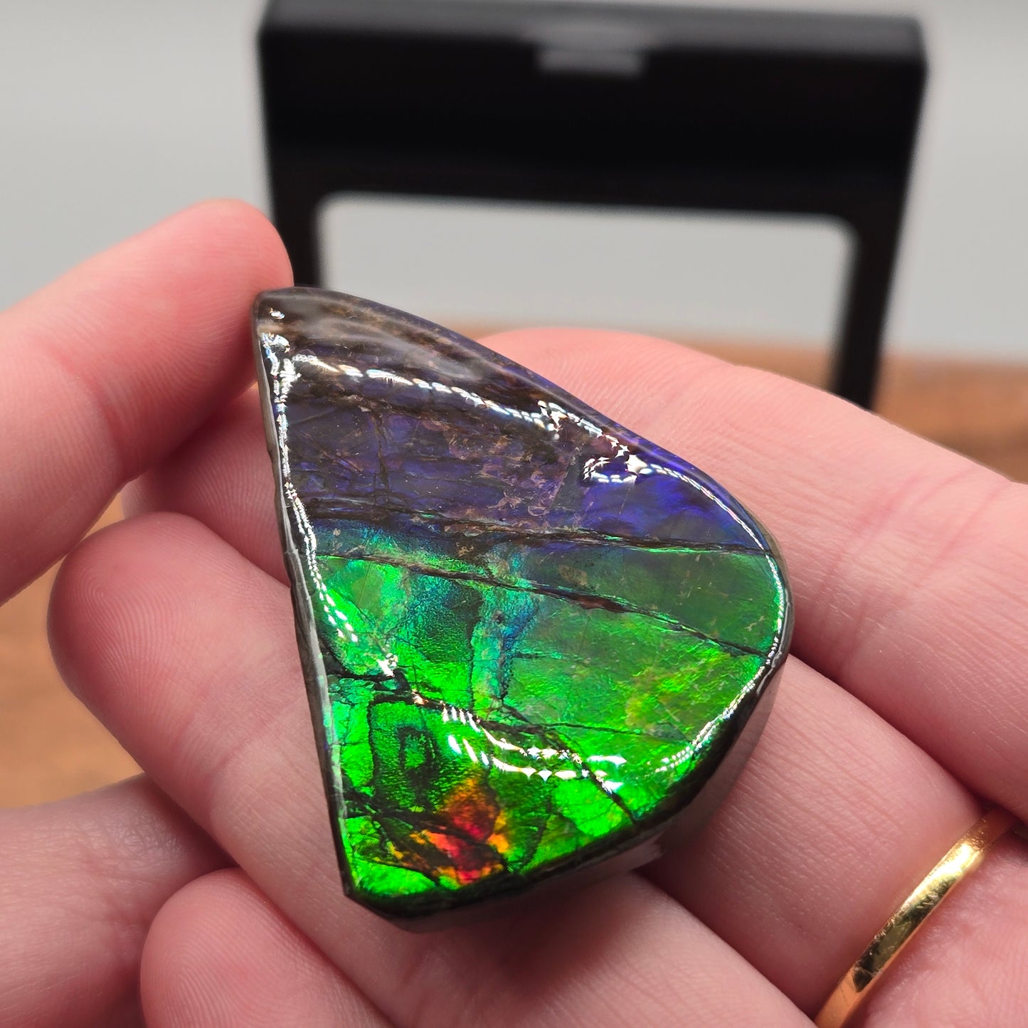 Ammolite 122