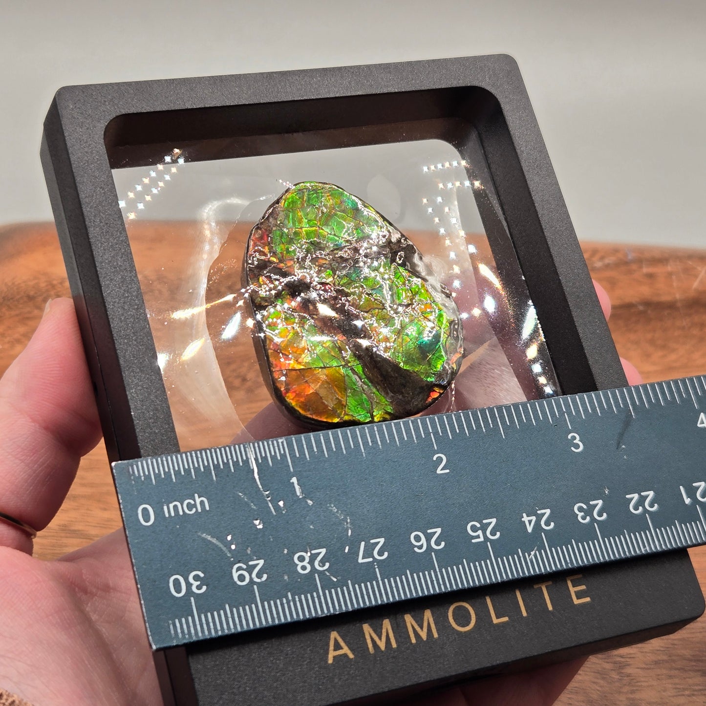 Ammolite 123