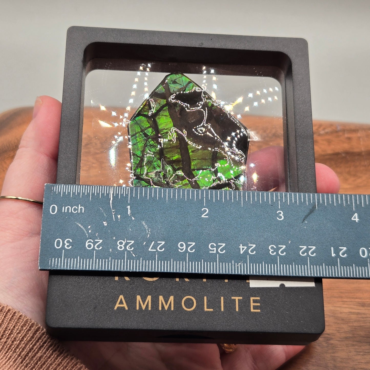 Ammolite 124
