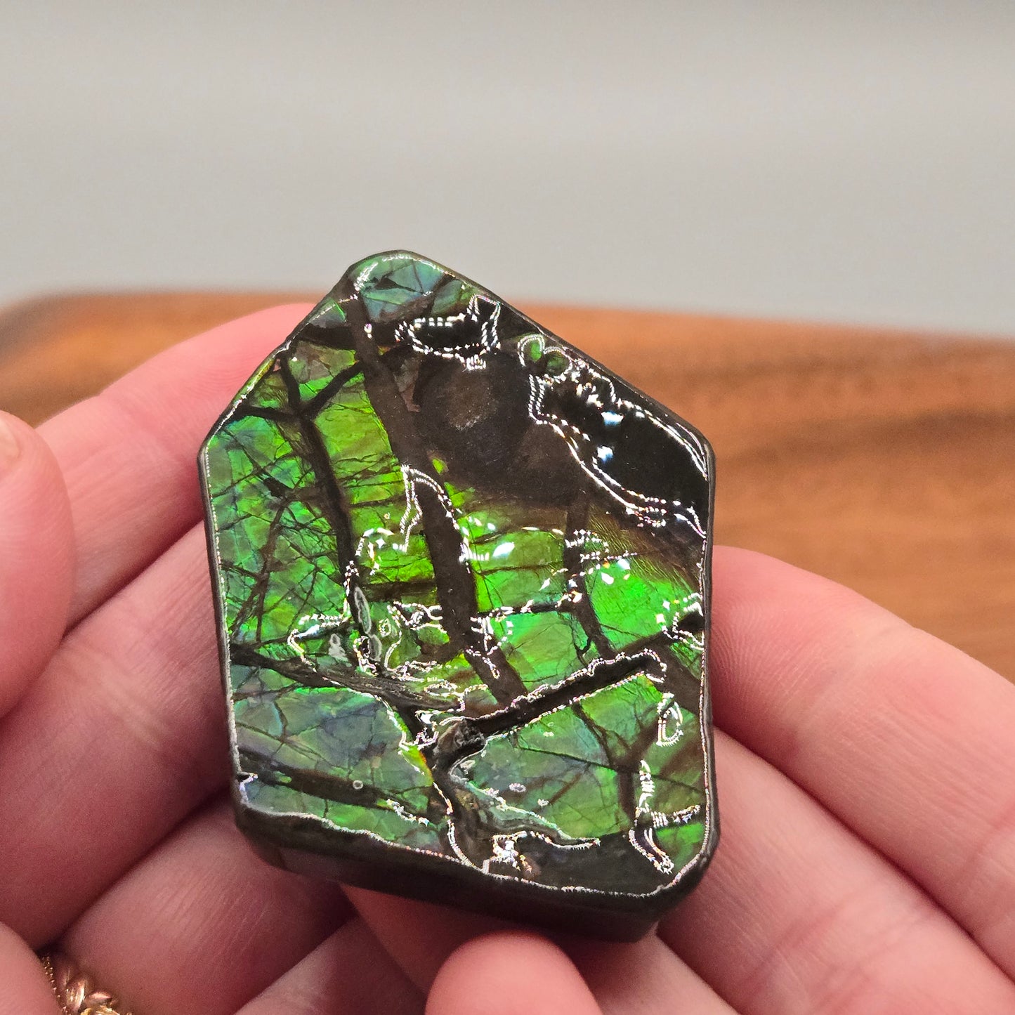 Ammolite 124