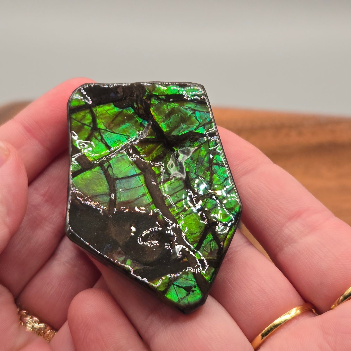 Ammolite 124