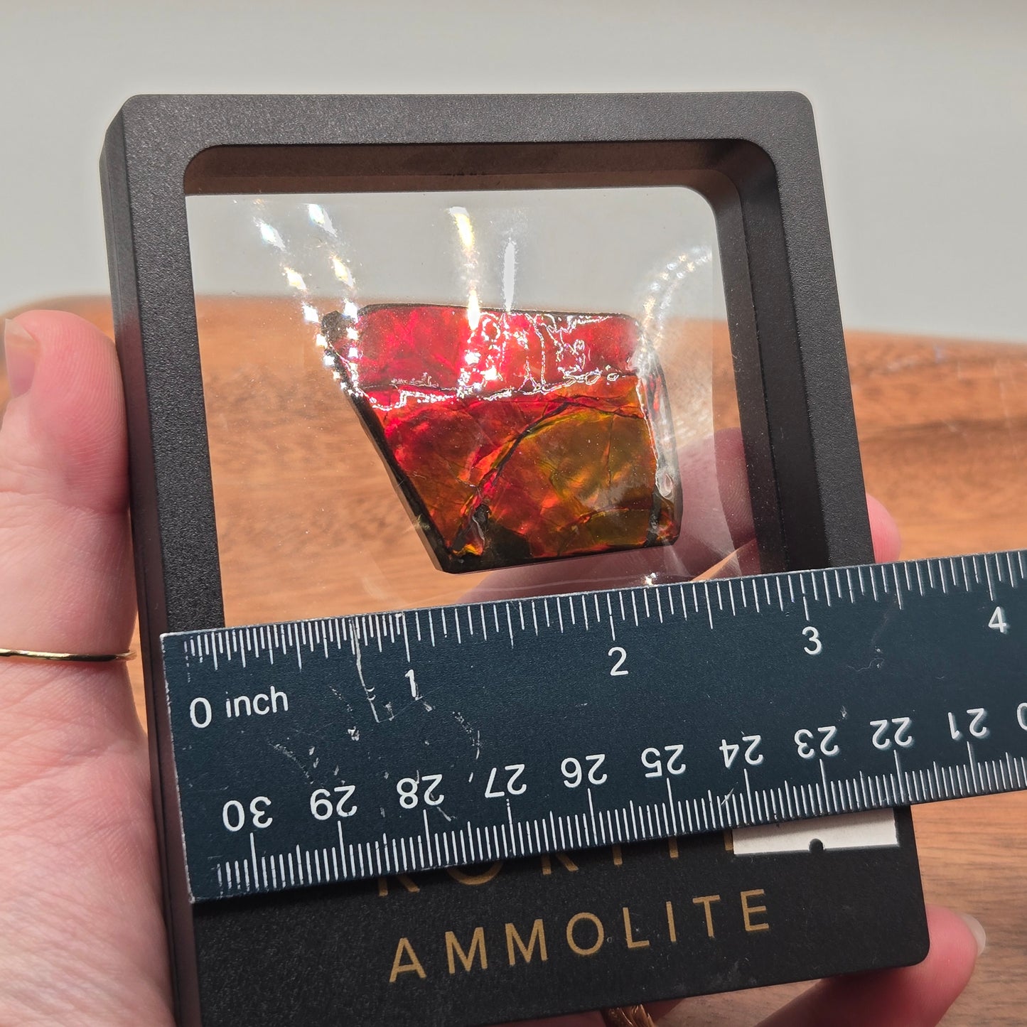 Ammolite 125