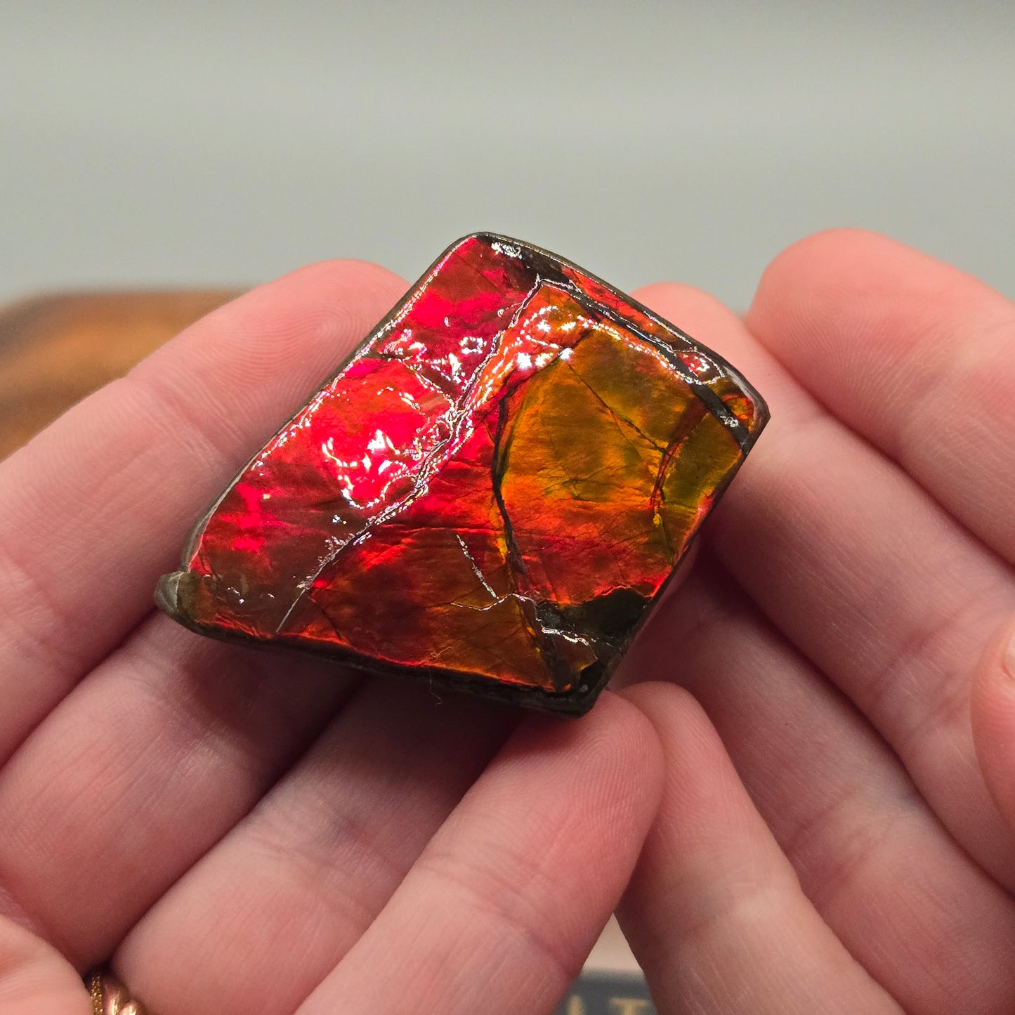 Ammolite 125