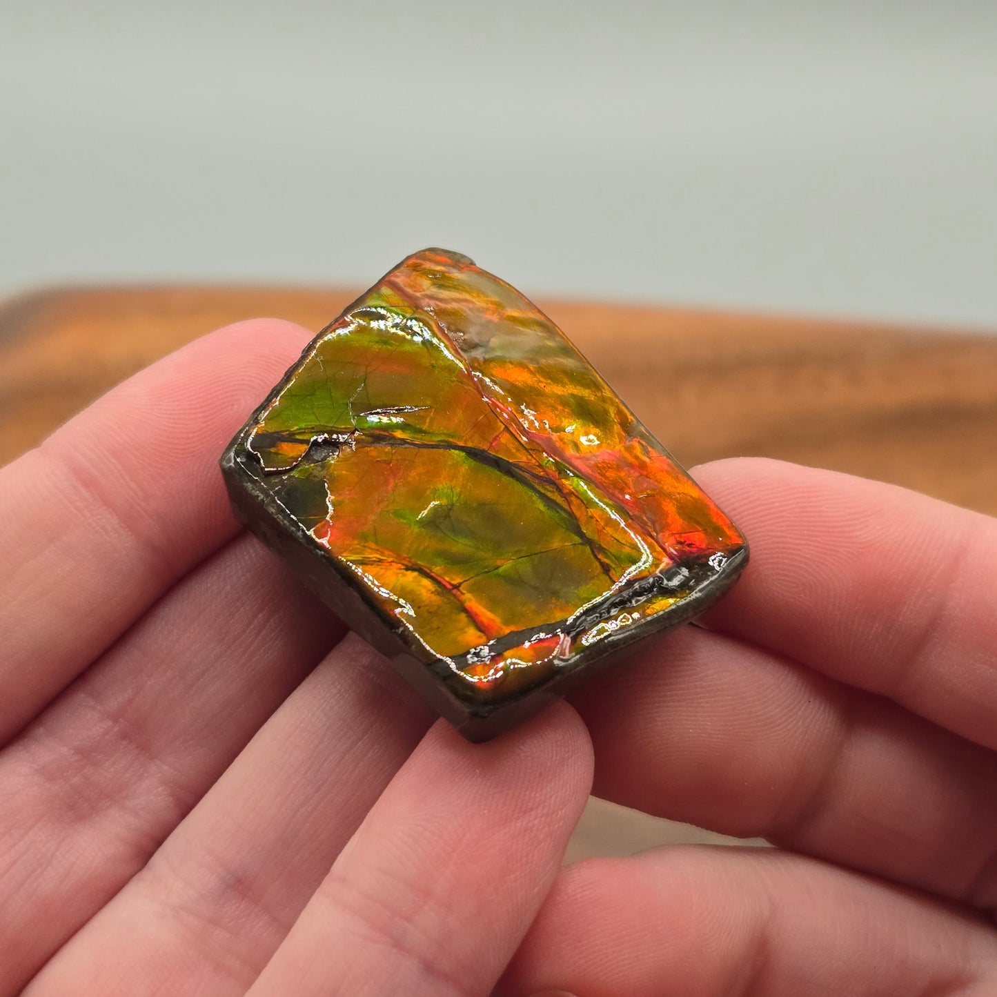 Ammolite 125