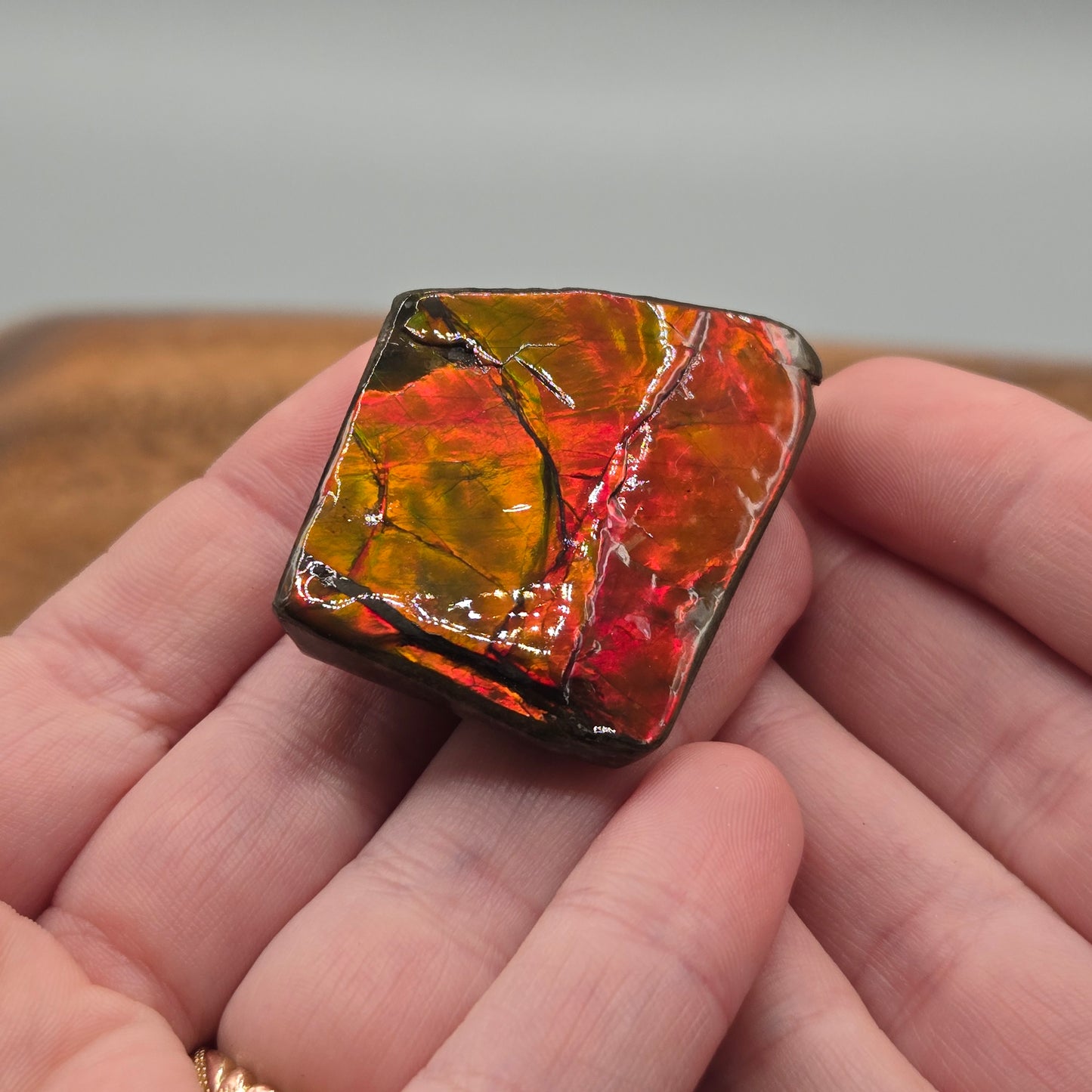 Ammolite 125