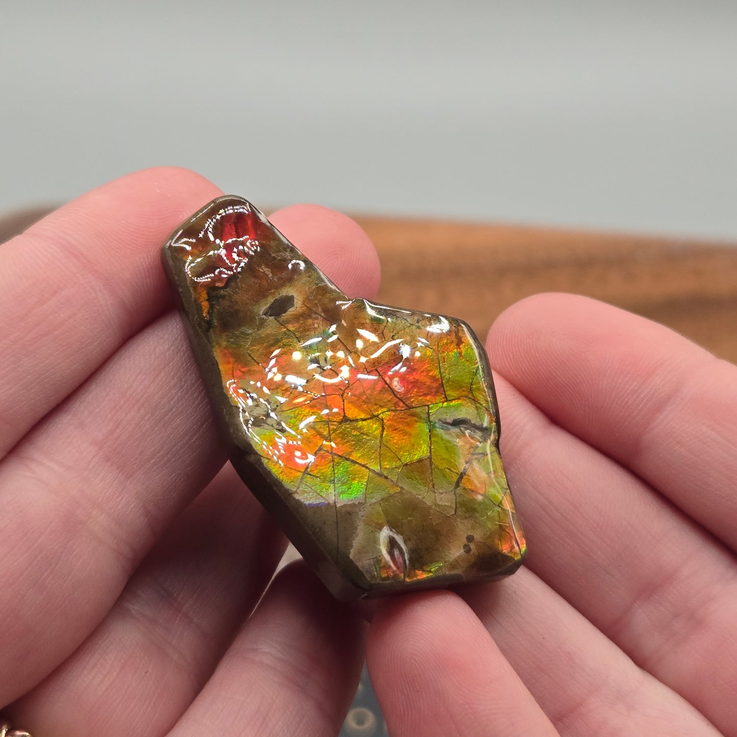 Ammolite 126