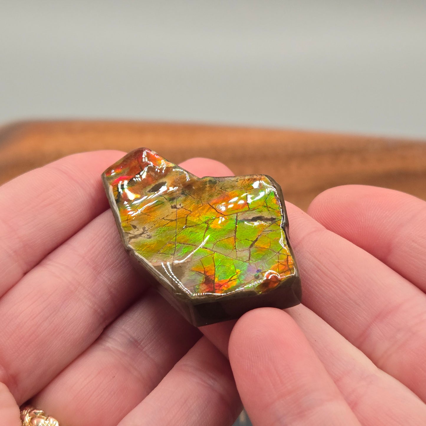 Ammolite 126