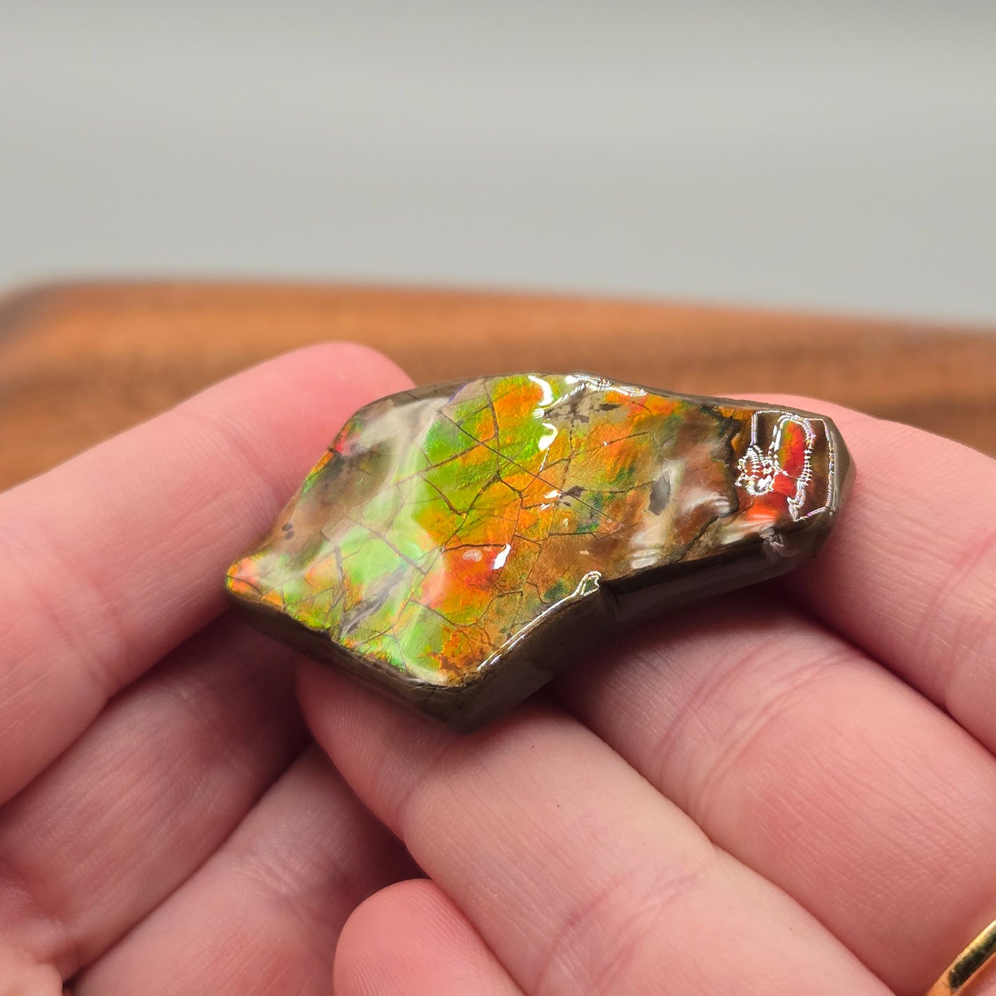Ammolite 126