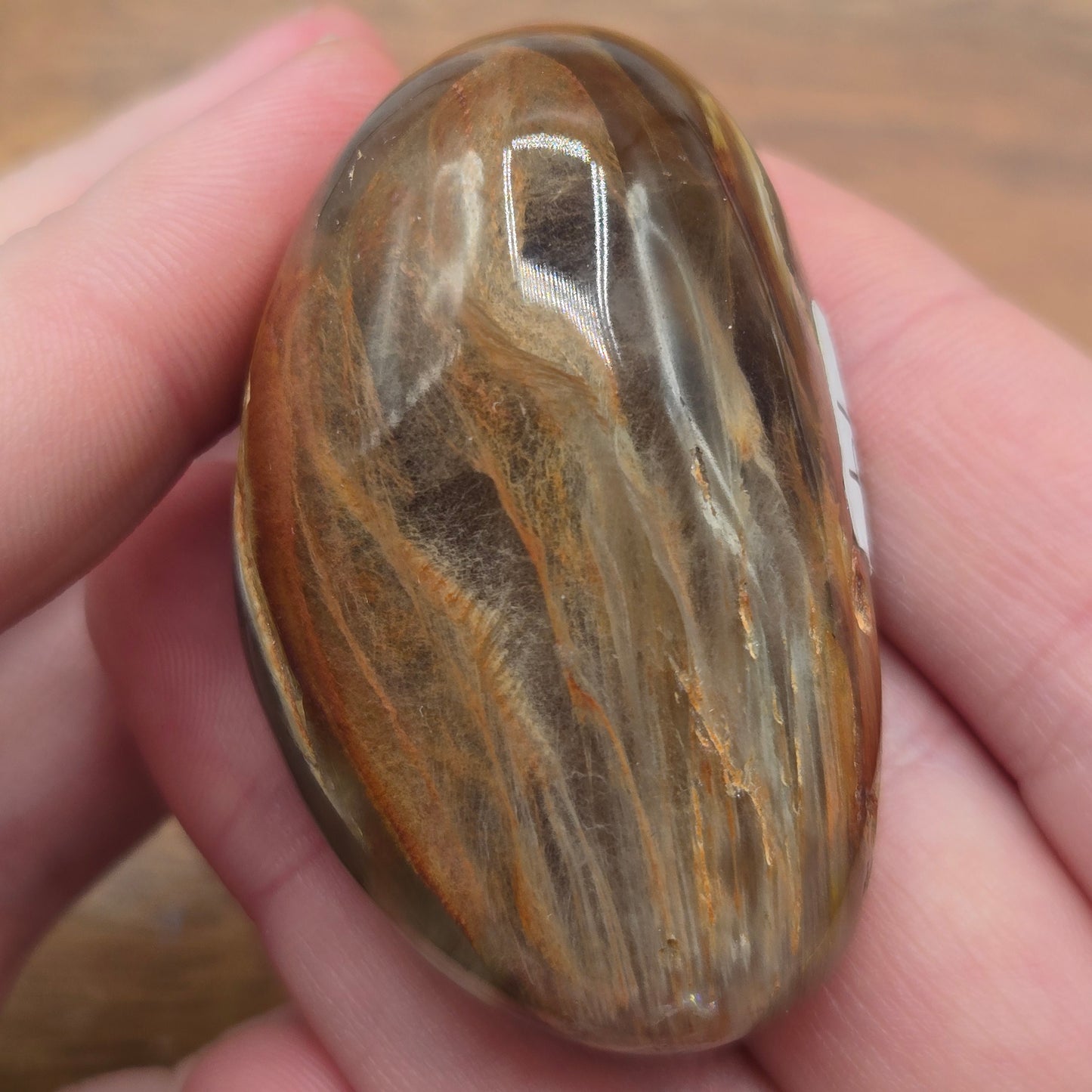 Amphibole Quartz 128