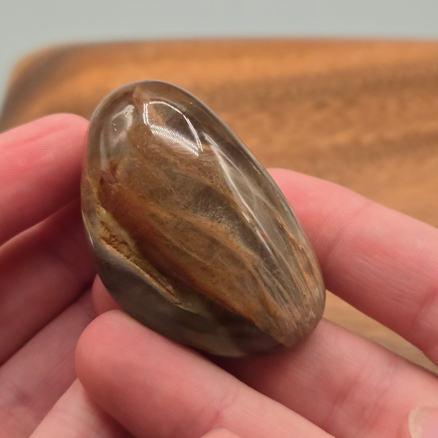 Amphibole Quartz 128