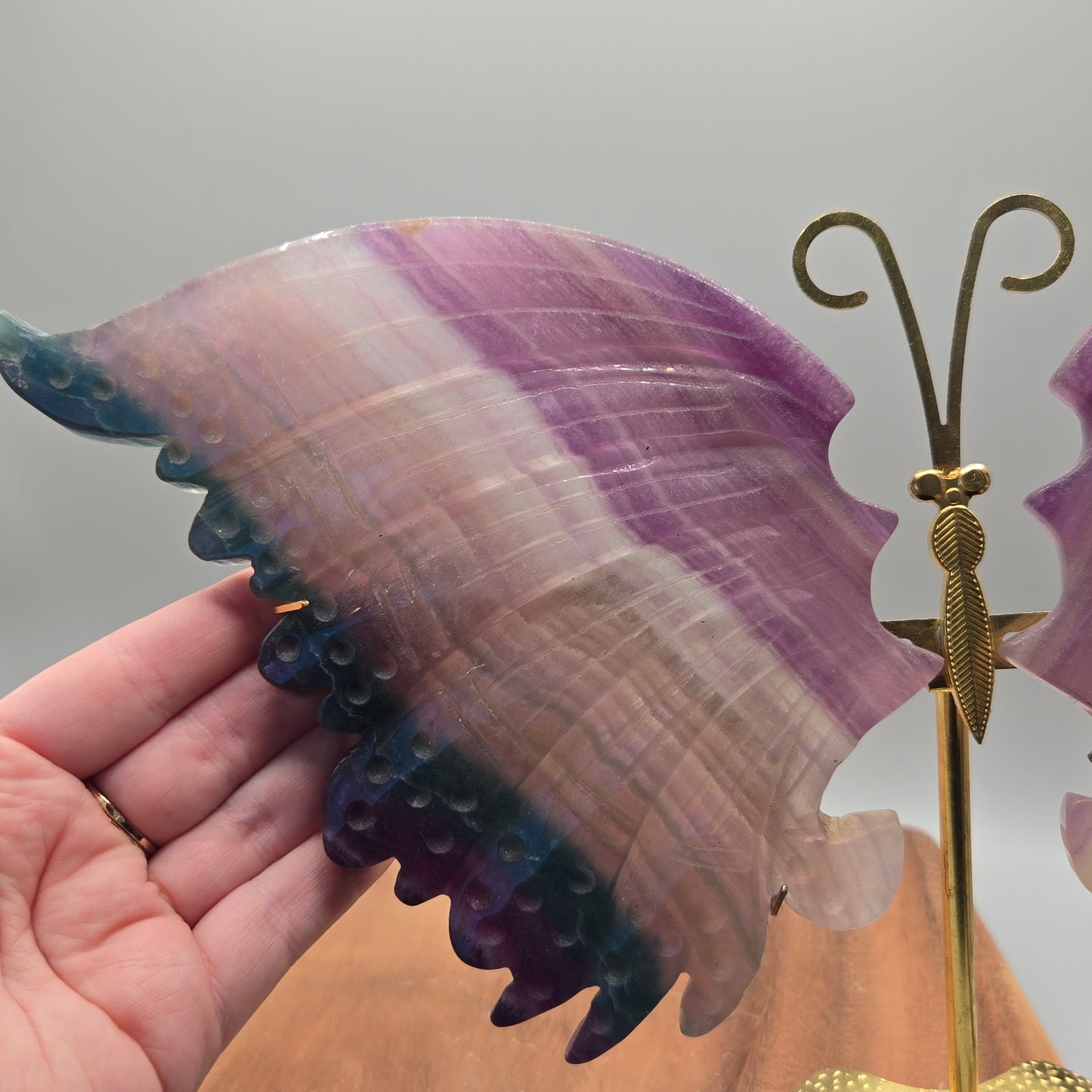 Fluorite Wings on Stand 155