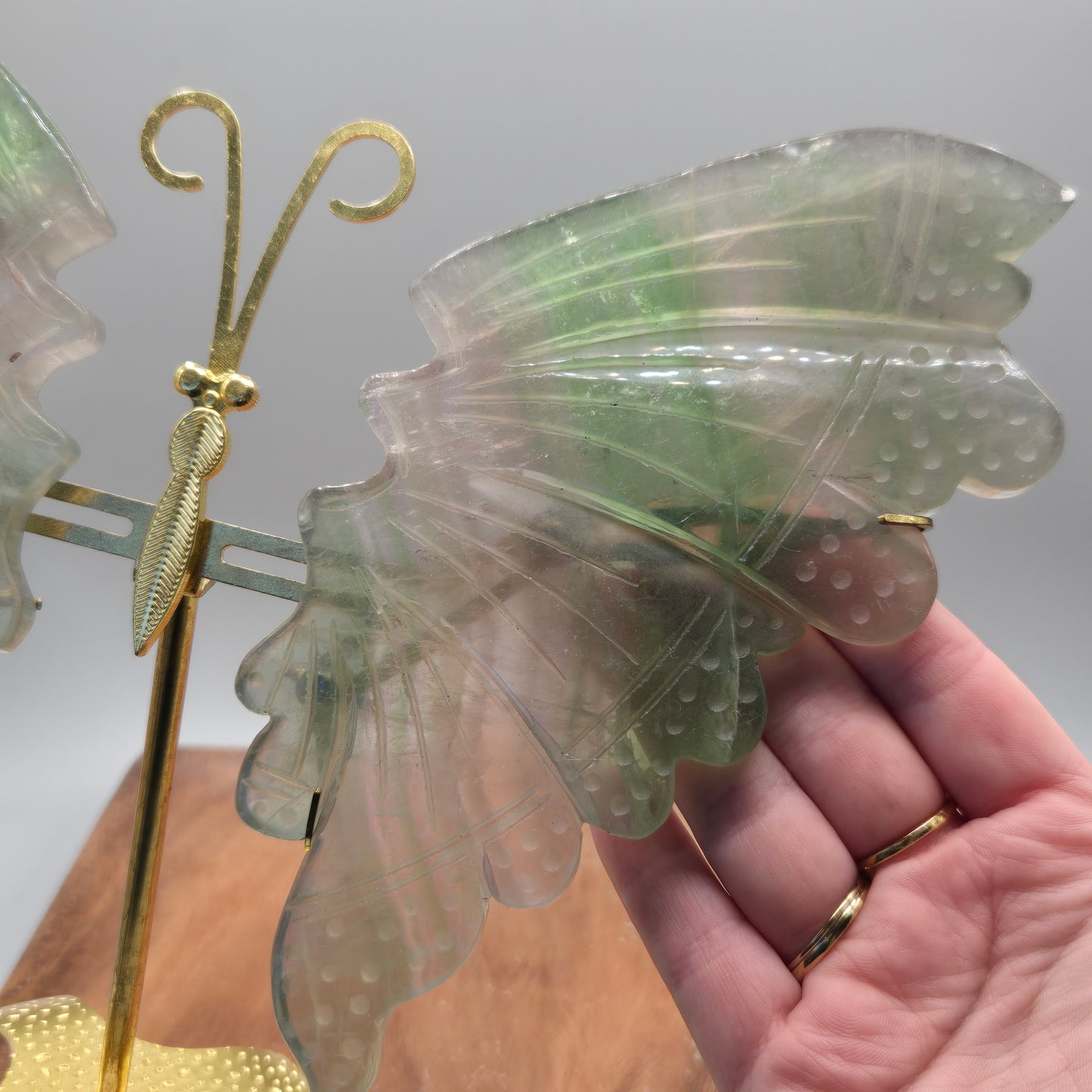Fluorite Wings on Stand 156