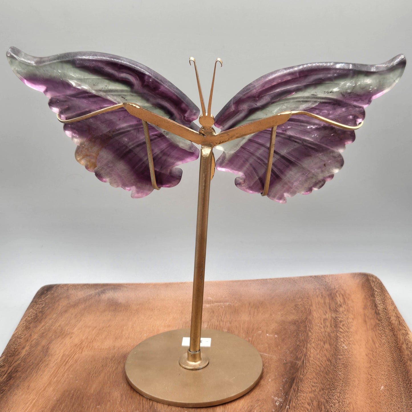 Fluorite Wings on Stand 159