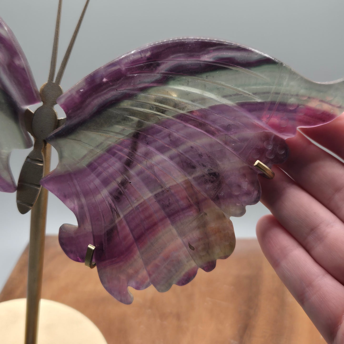 Fluorite Wings on Stand 159