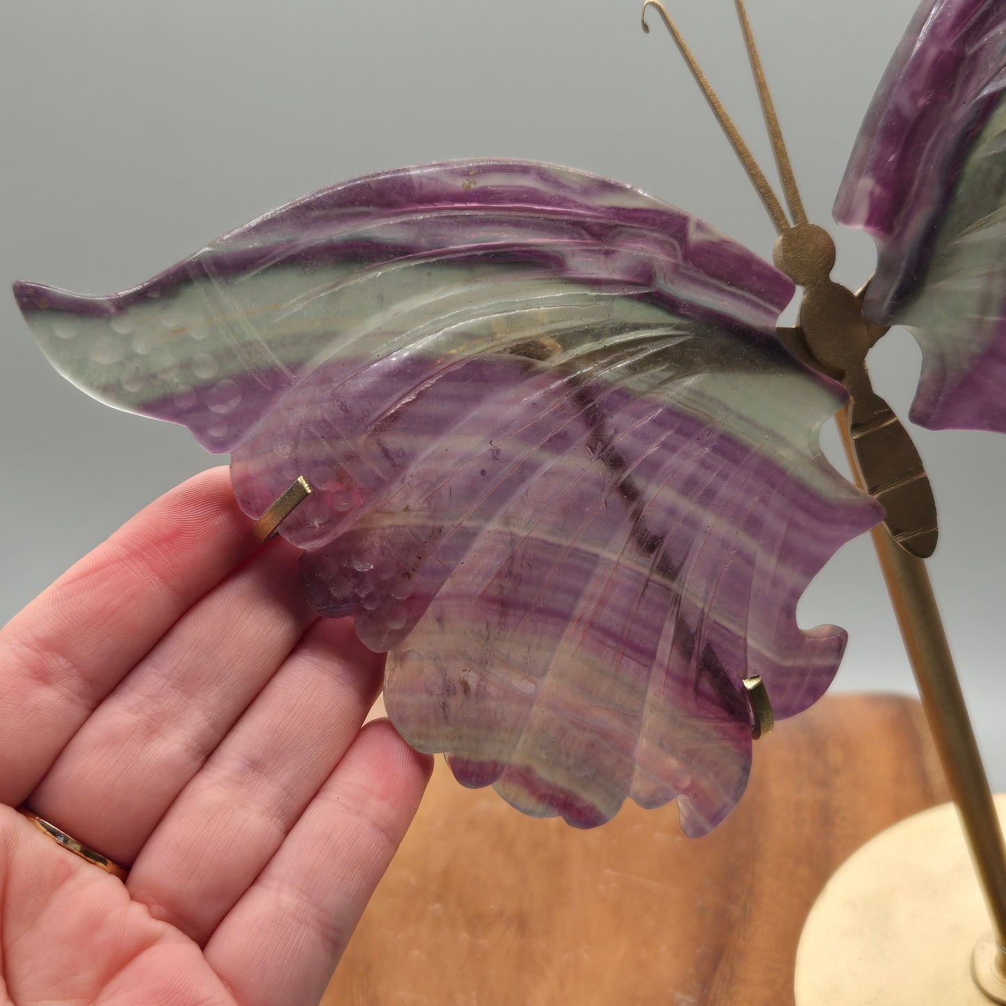 Fluorite Wings on Stand 159