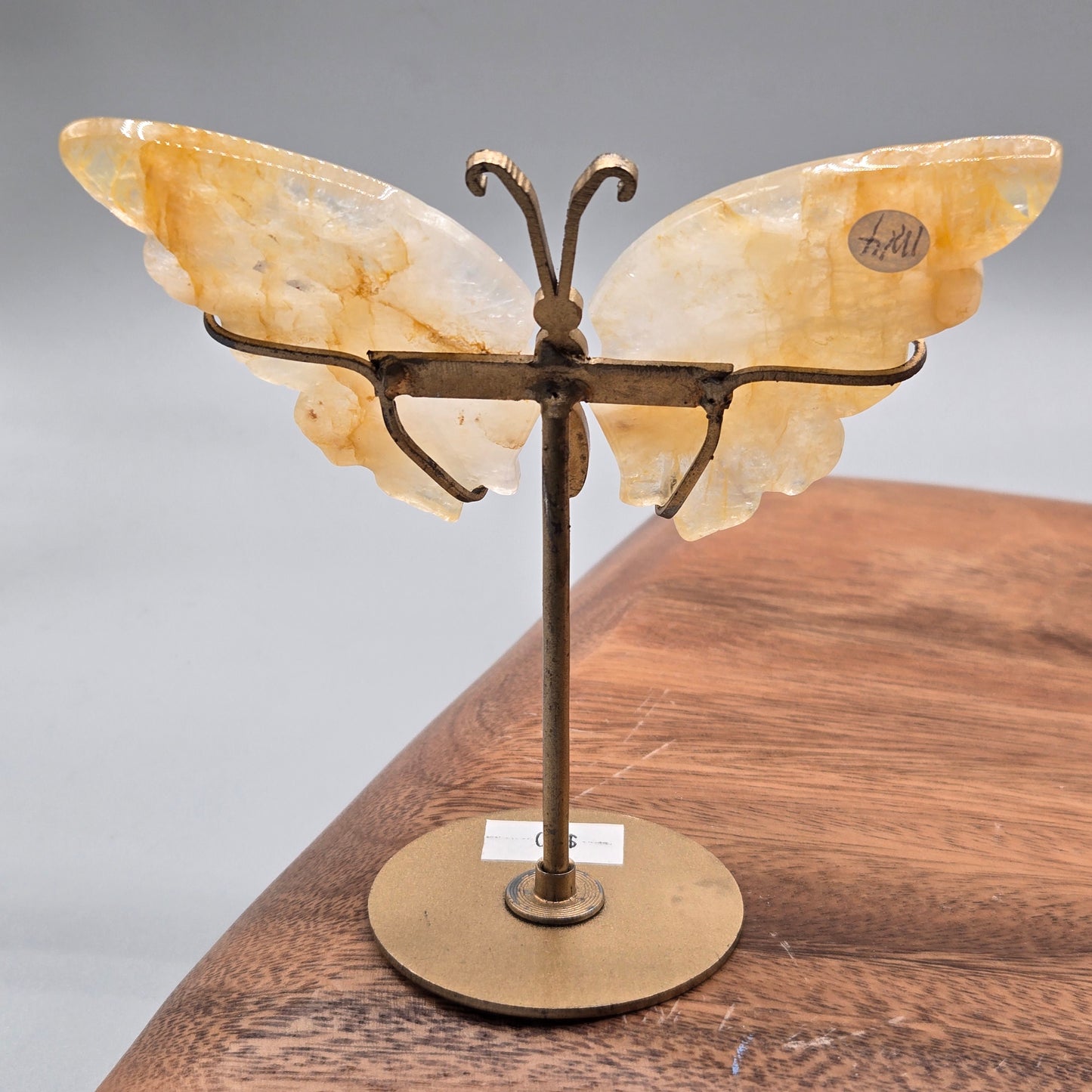 Golden Healer Wings on Stand 162