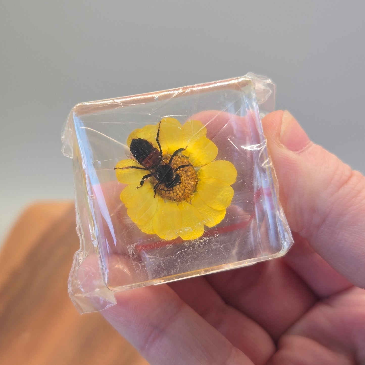 Resin Honey Bee with Flower