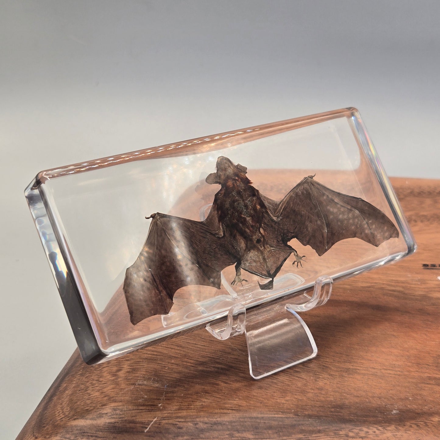 Resin Bat