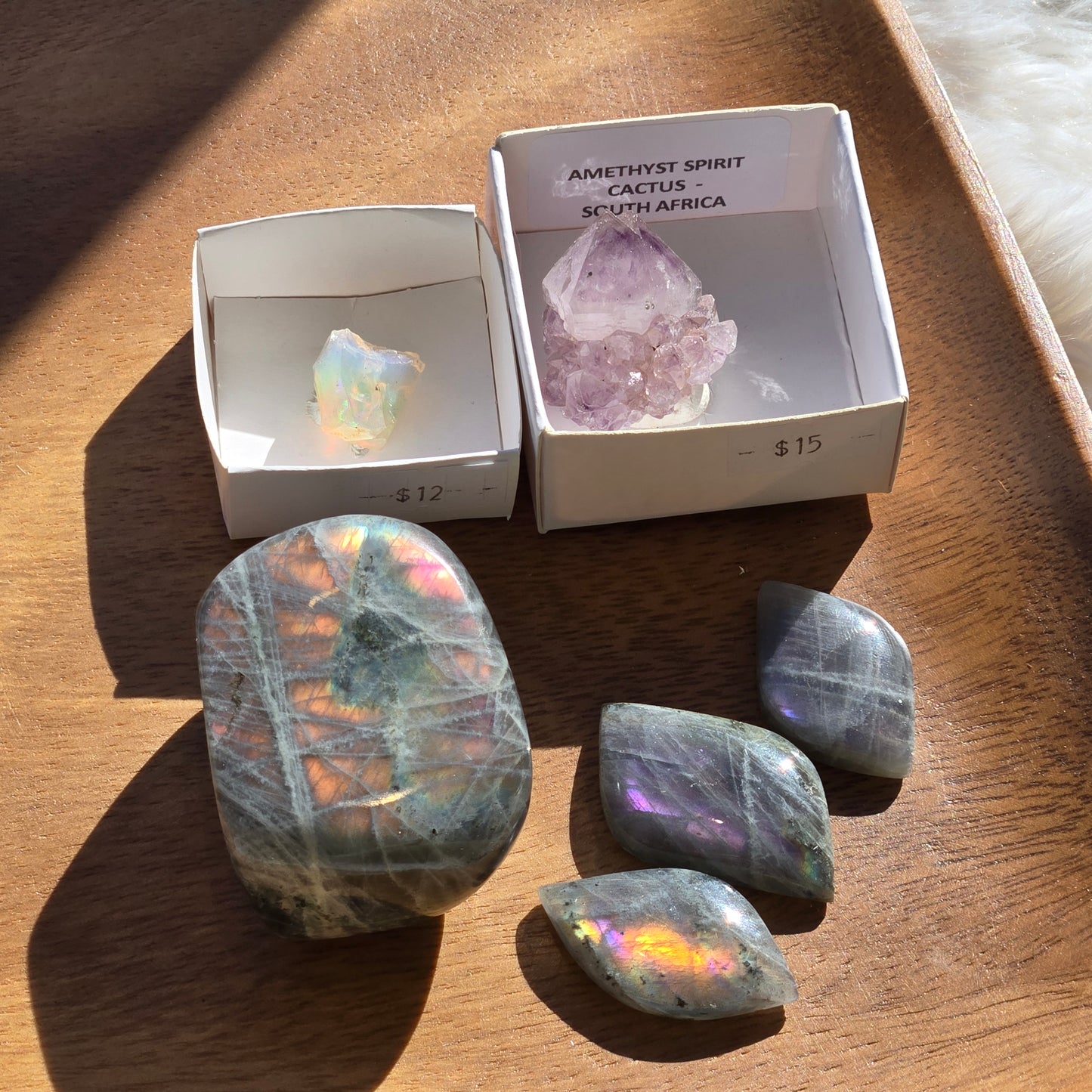 Intuitive Select Crystal, Mineral & Oddity Set