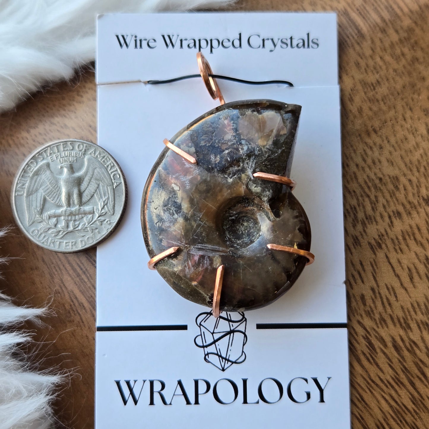 Ammonite Pendant 1092