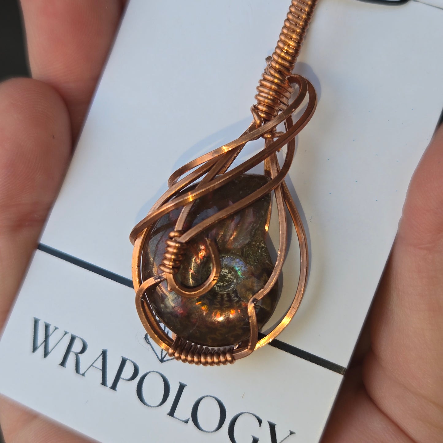 Ammonite 1156