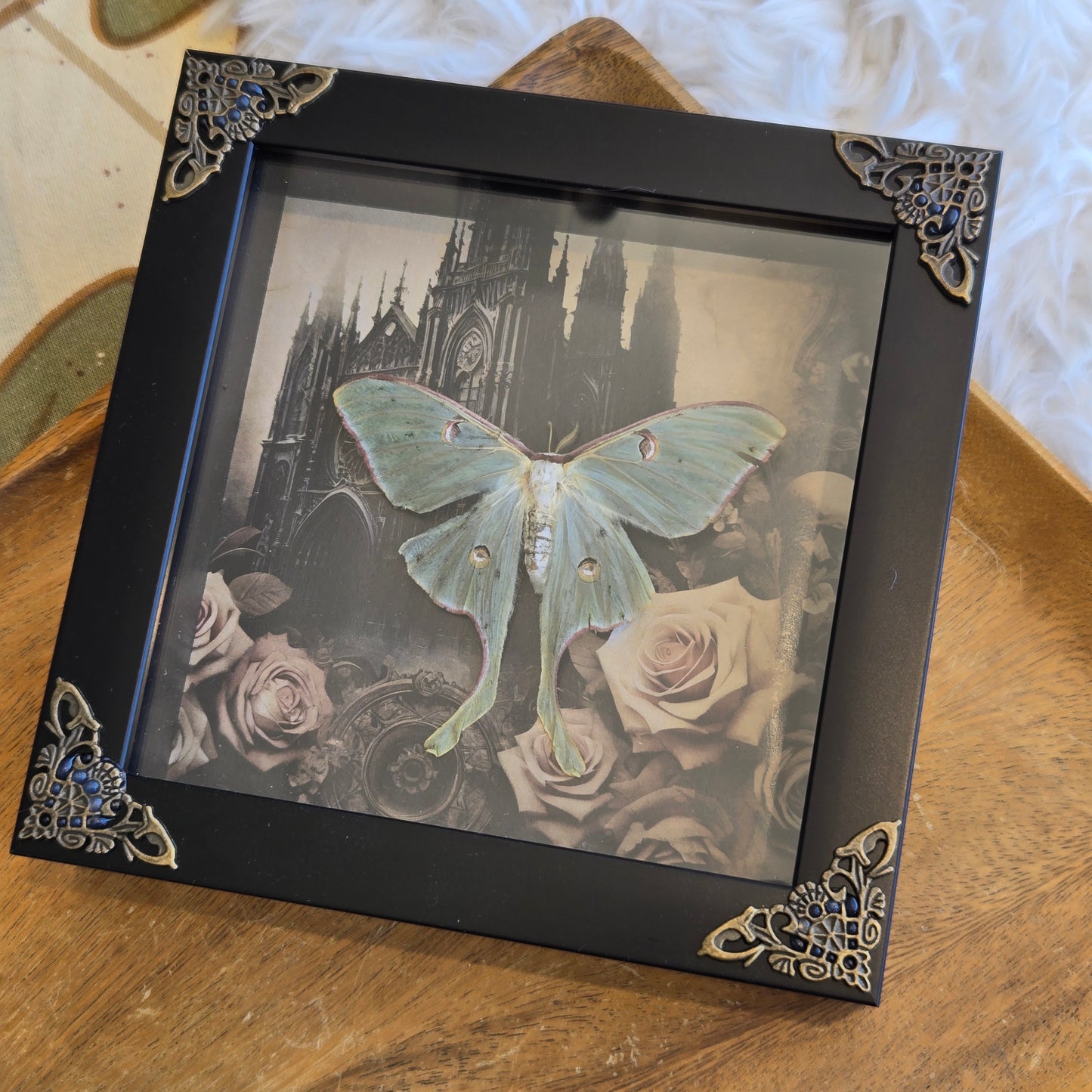 You Pick Framed Luna Moth