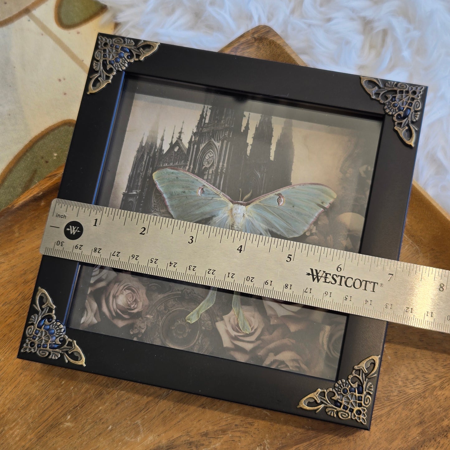 You Pick Framed Luna Moth